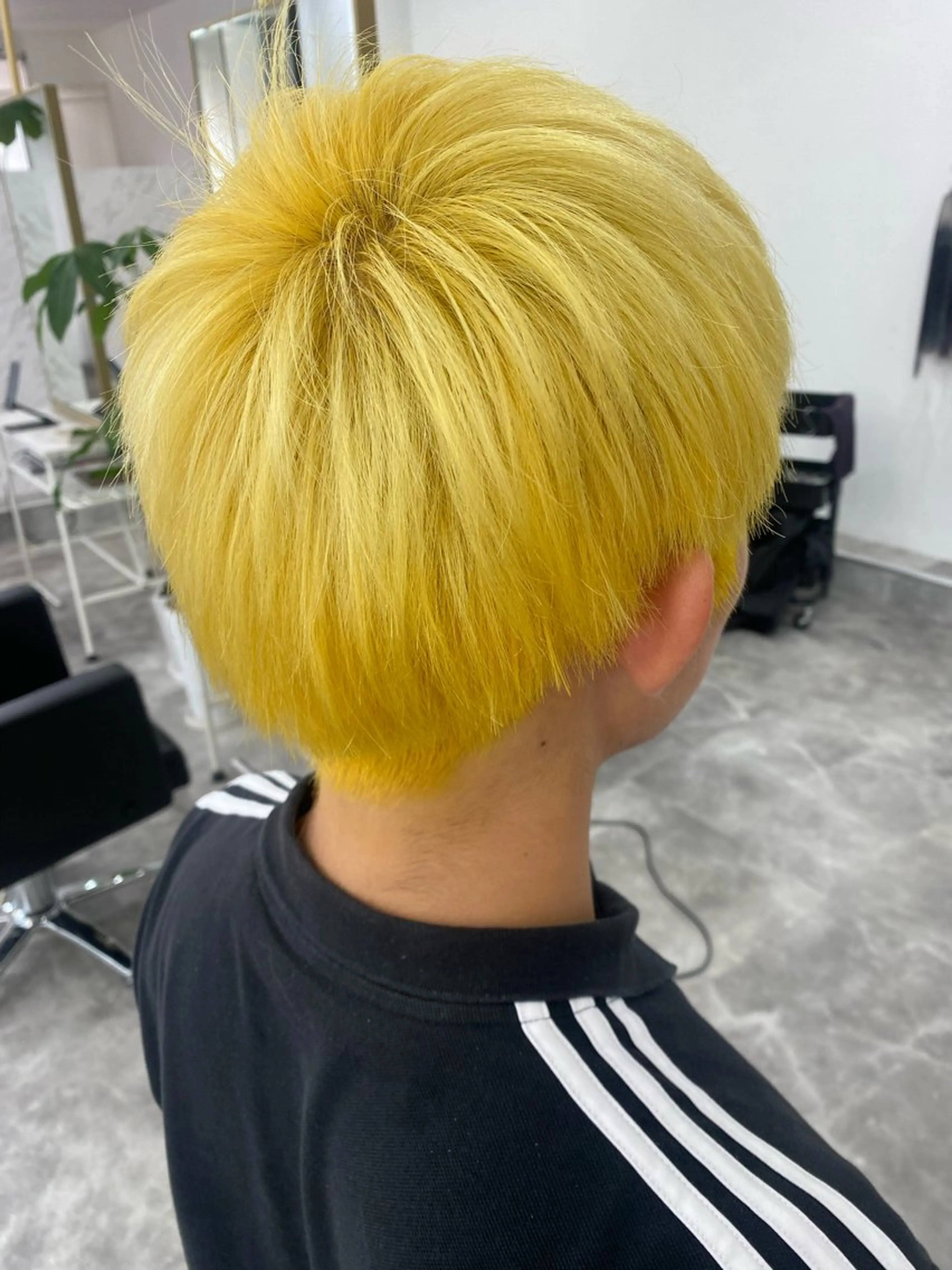 メンズ ヘアカラー Belle   / kaede🍁のヘアスタイル