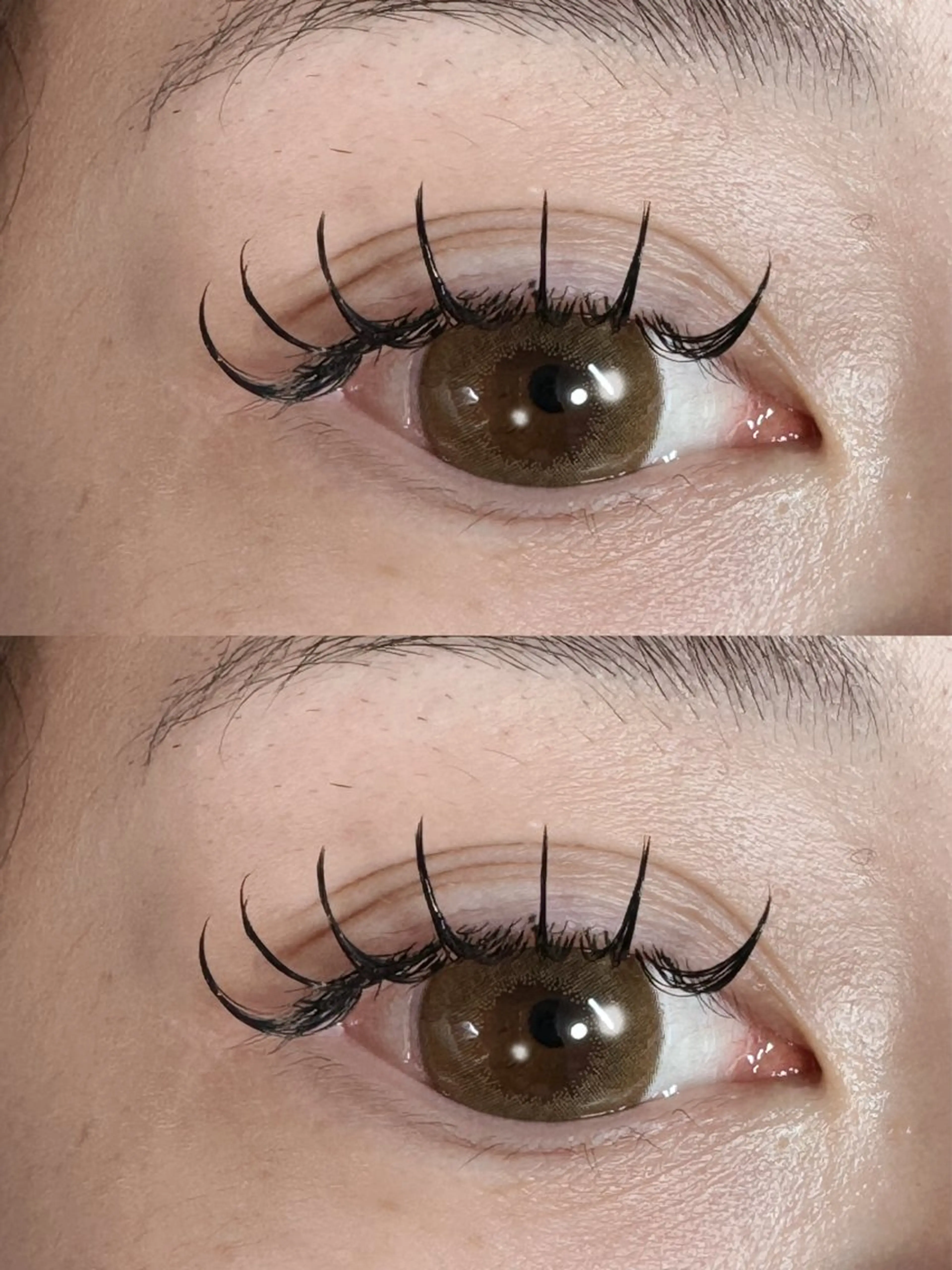 🎃お試し🎃【オフなし】フラットマットラッシュ60本+20本🎃の写真