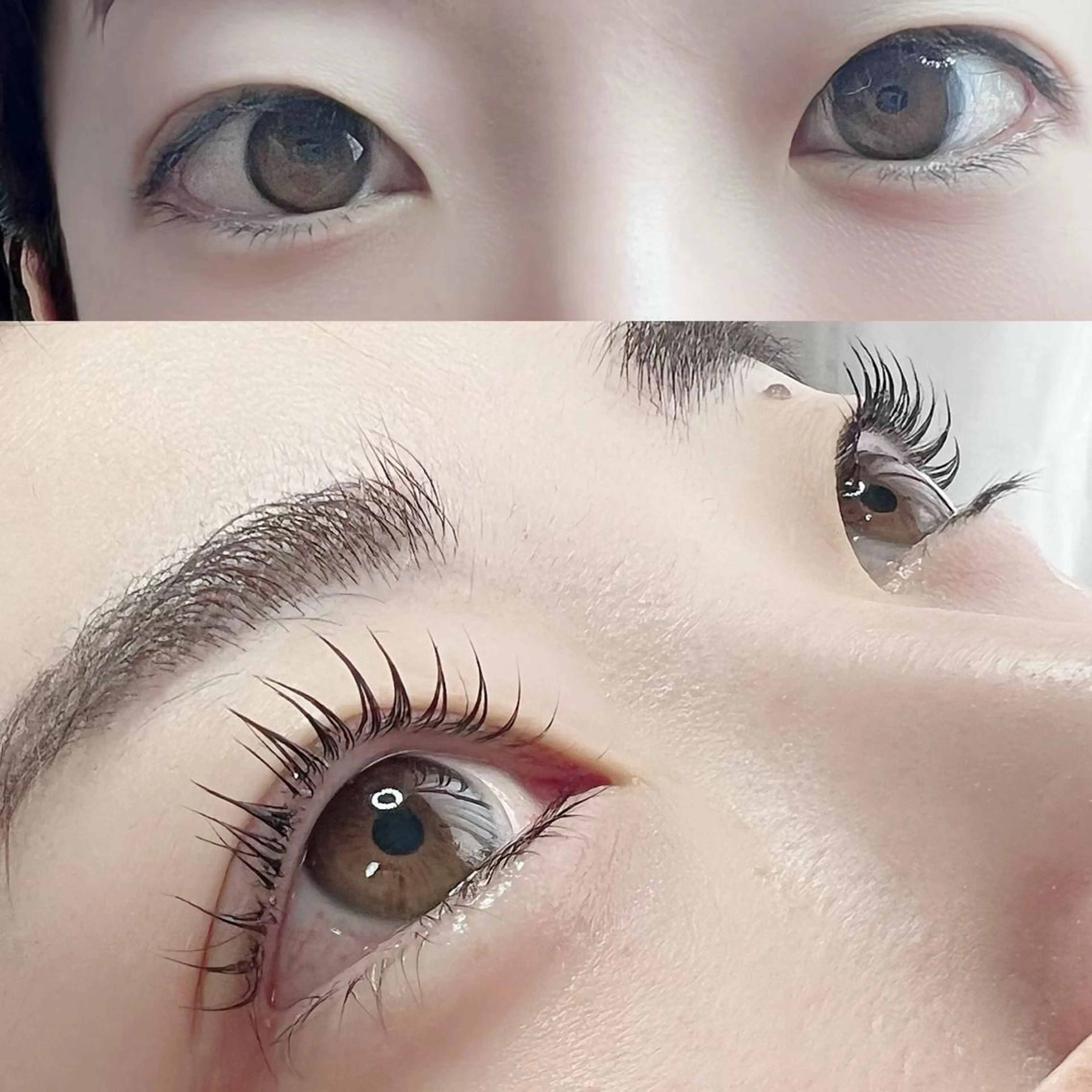 マツエク・マツパ パリジェンヌラッシュリフト chou chou シュシュのマツエク・マツパデザイン