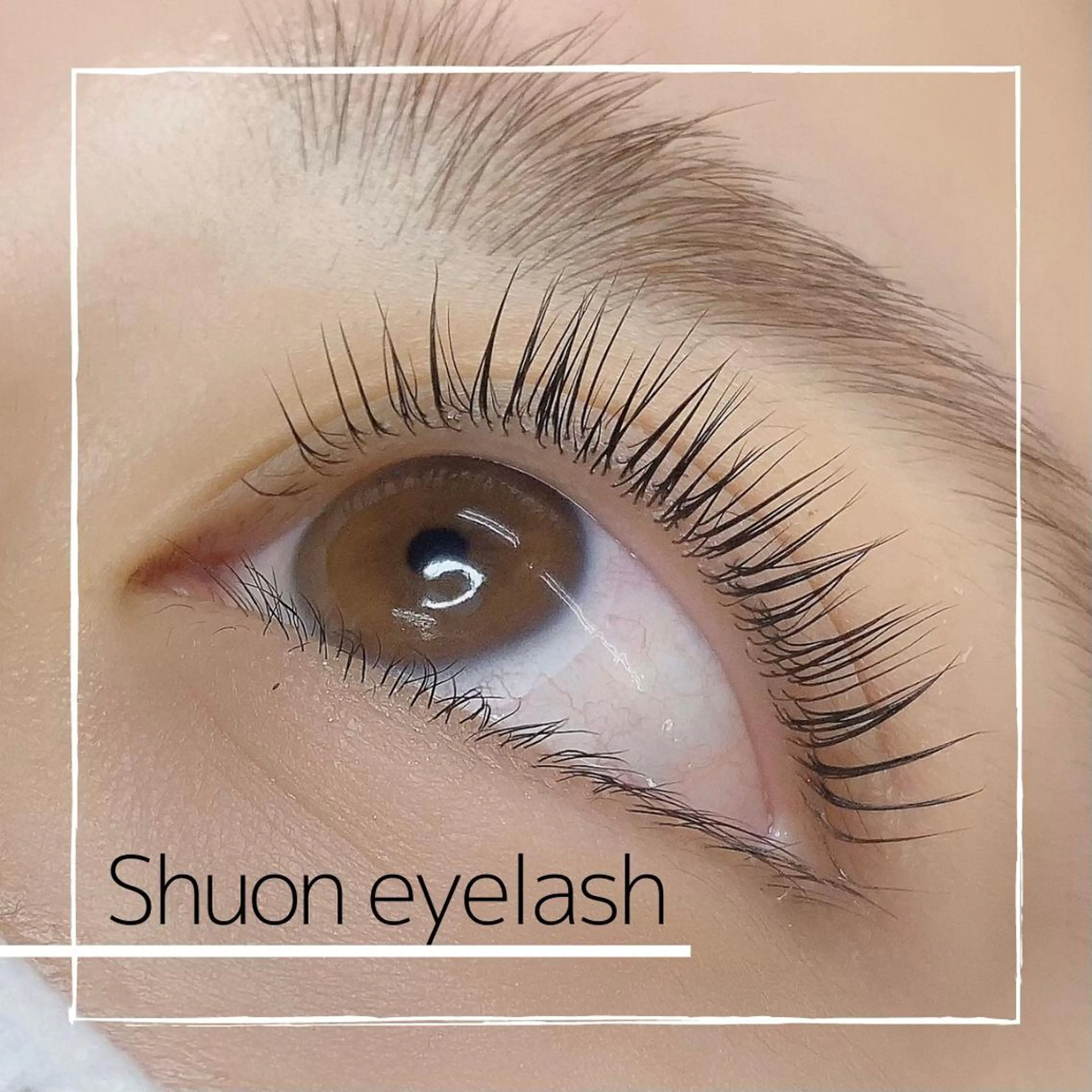 マツエク・マツパ extentionspace Shuon所属・KITTY 立川のマツエク・マツパデザイン