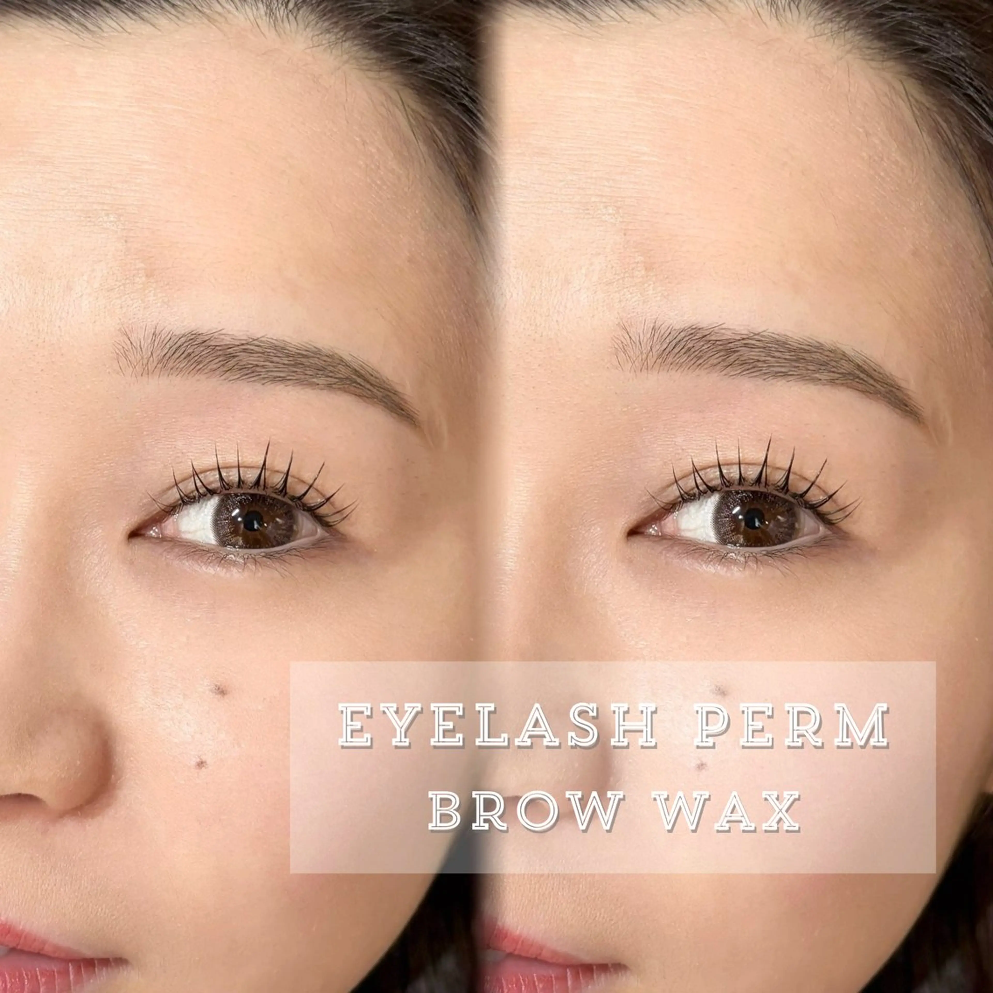 【次世代まつパ × 眉WAX】まつ毛パーマ と アイブロウWAX(コーティング/眉カット・間引き・お仕上げ付き)の写真
