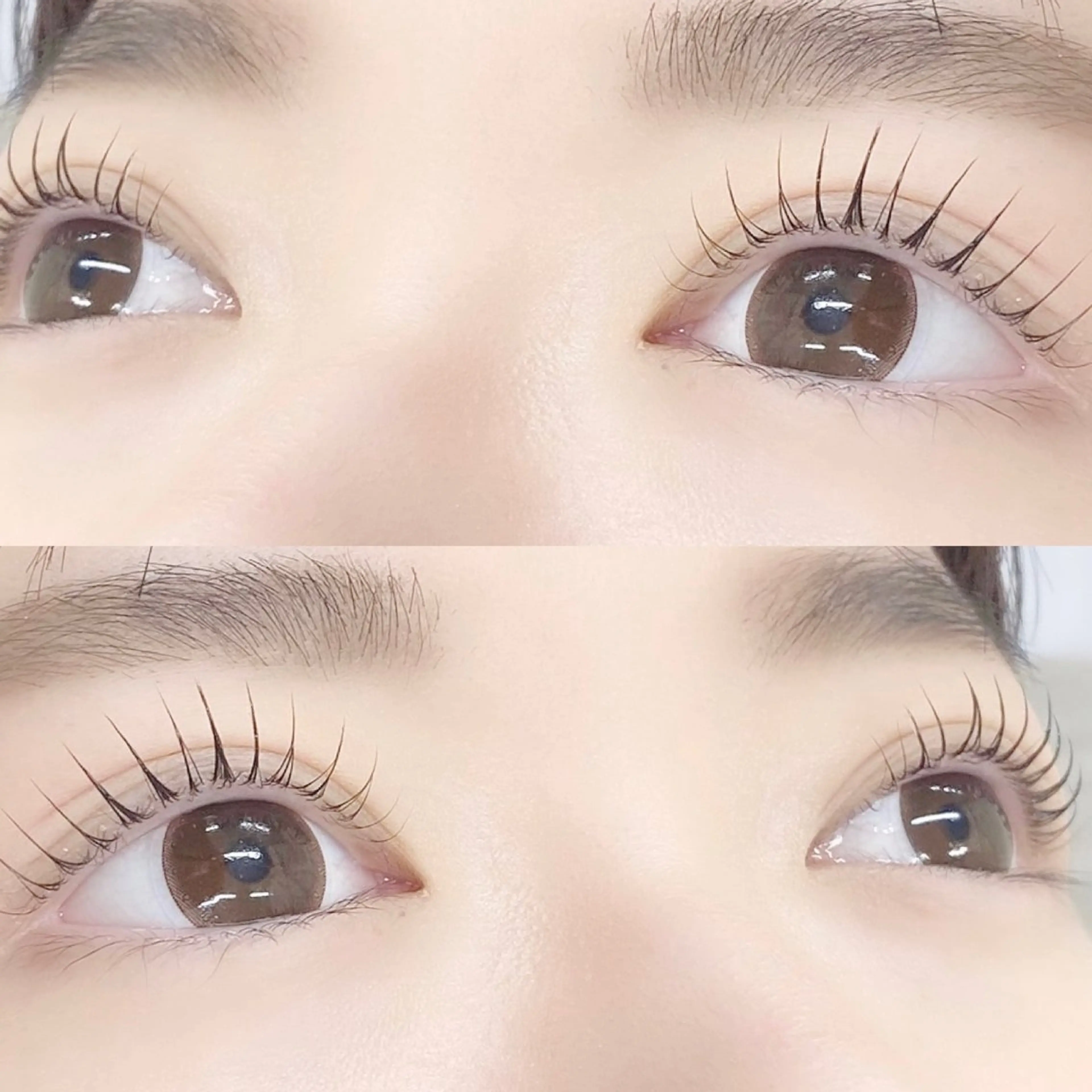 マツエク・マツパ 🌼Alba🌼 犬馬塲のマツエク・マツパデザイン