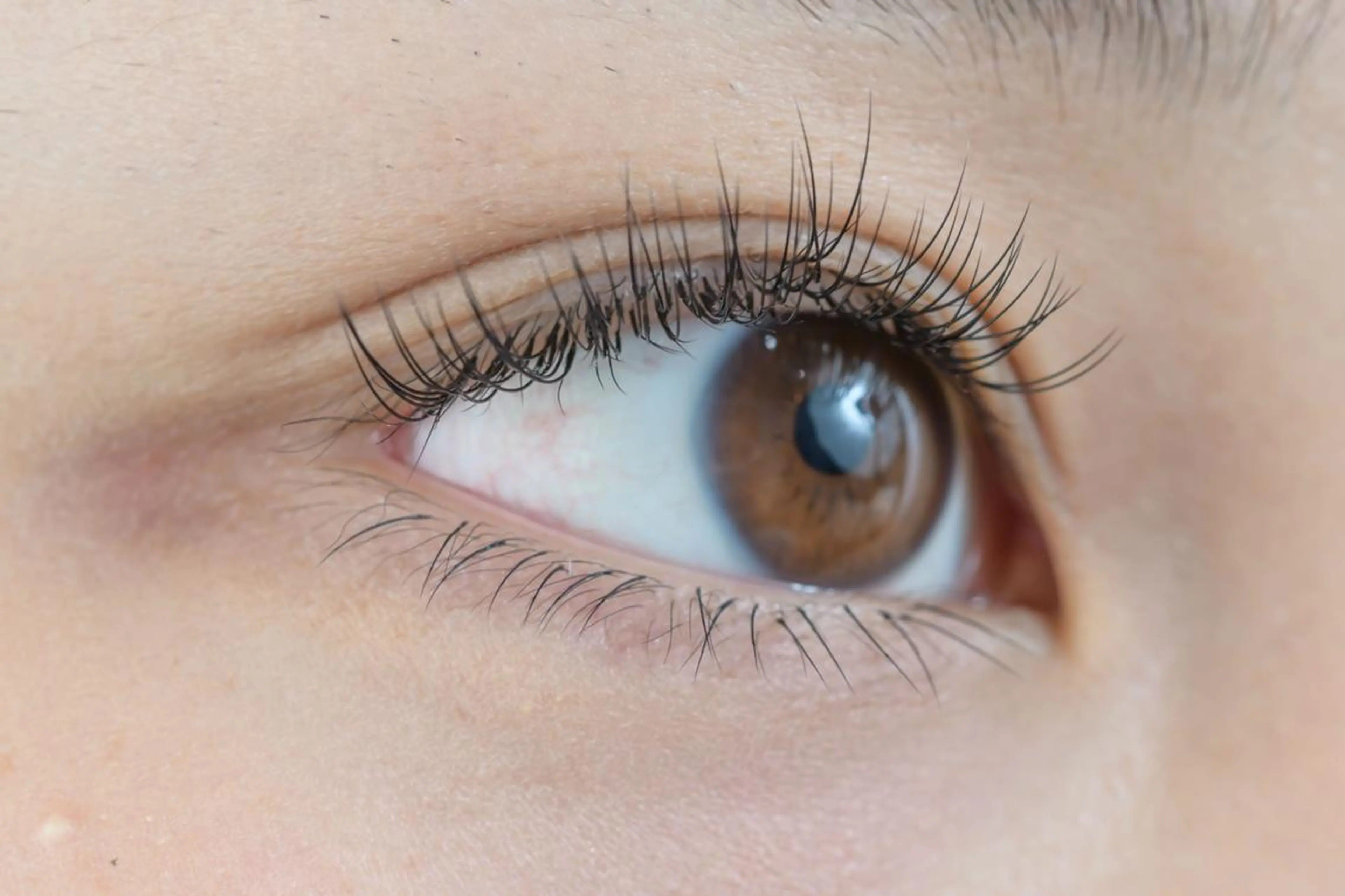 マツエク・マツパ セーブル アイサロン フェア 海老名店のマツエク・マツパデザイン