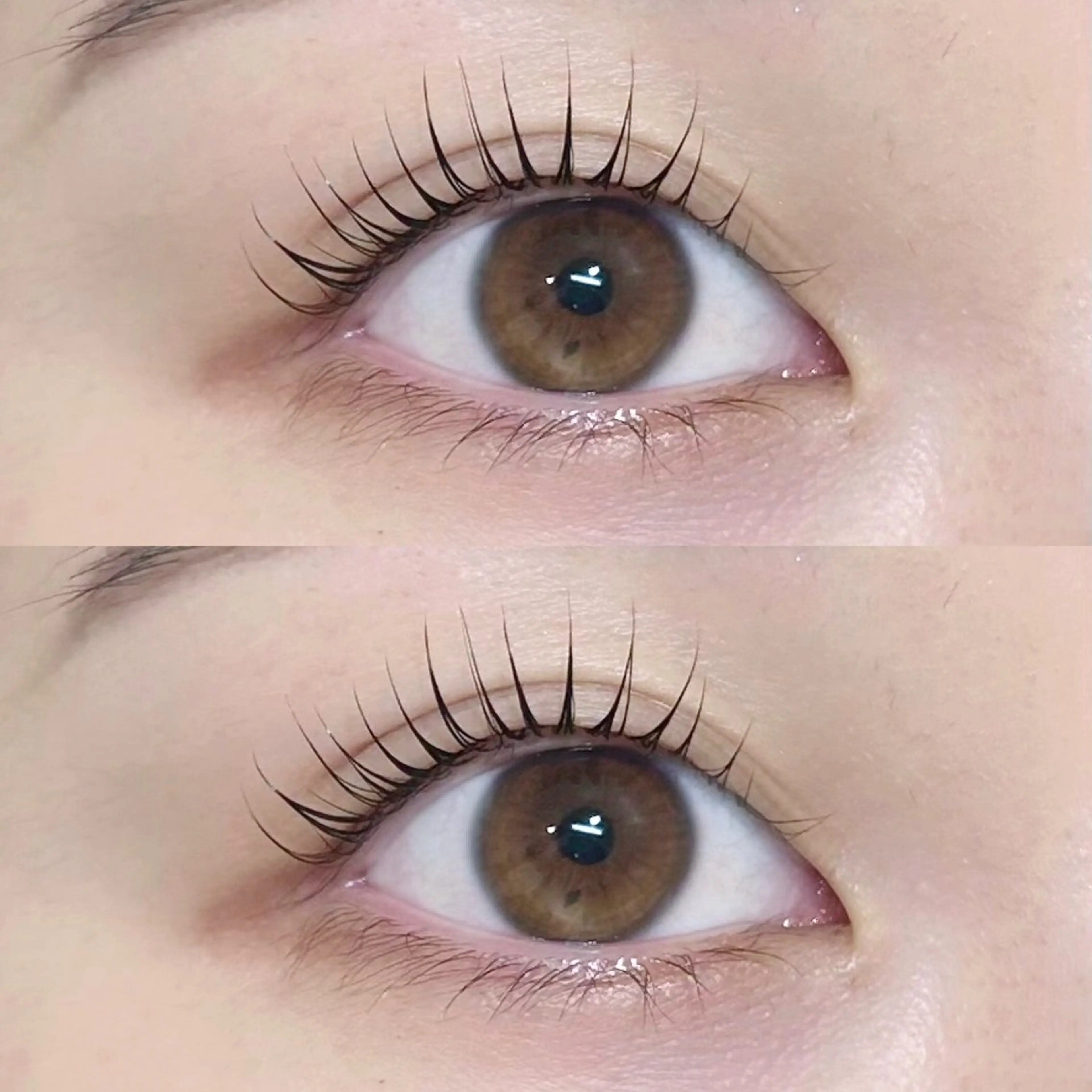 マツエク・マツパ 束感まつ毛 ナチュラル マツパ SUGAR 綱崎愛音のマツエク・マツパデザイン