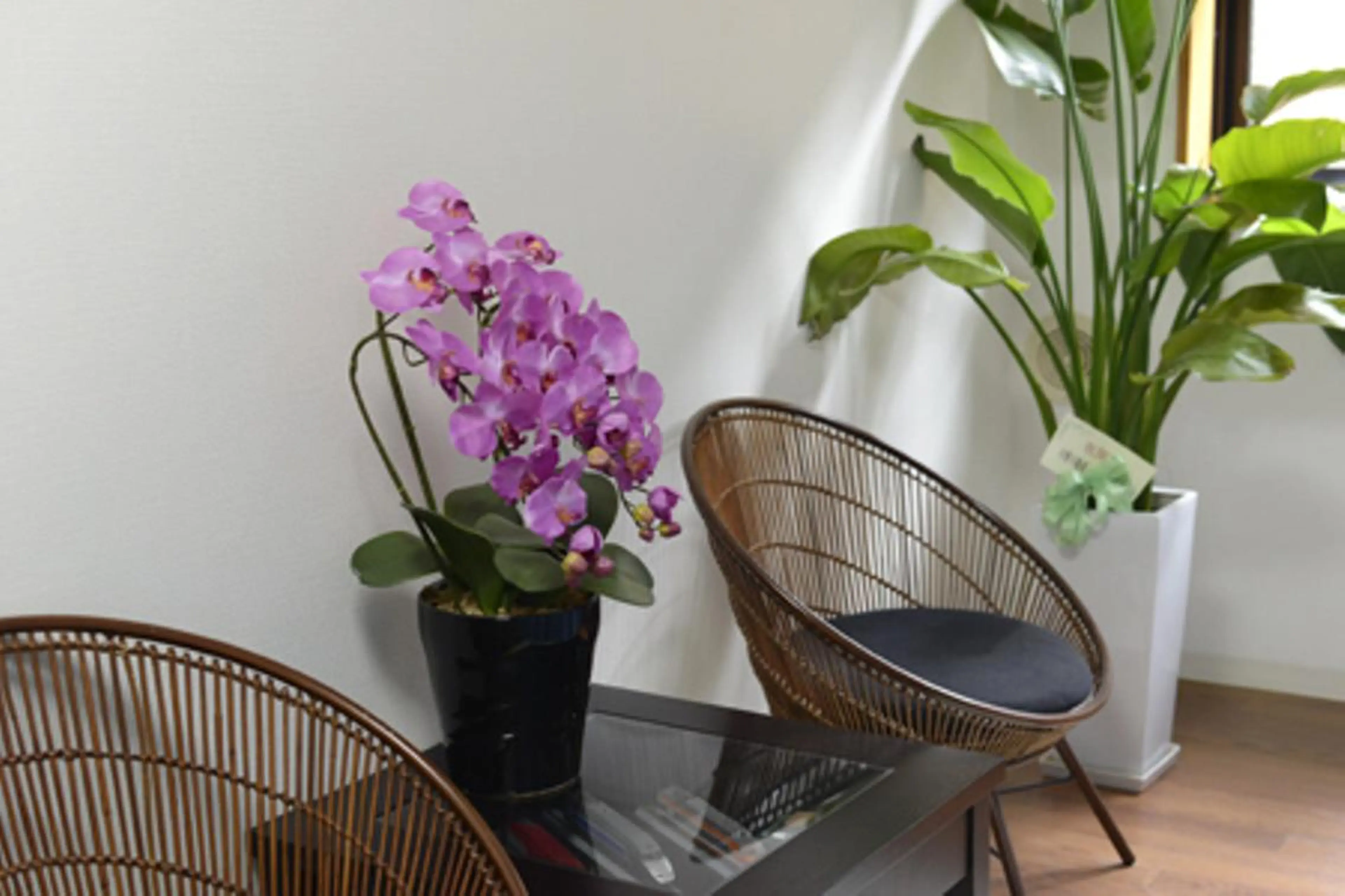 こころカイロプラクティック療院所属・米原 大右のその他イメージ