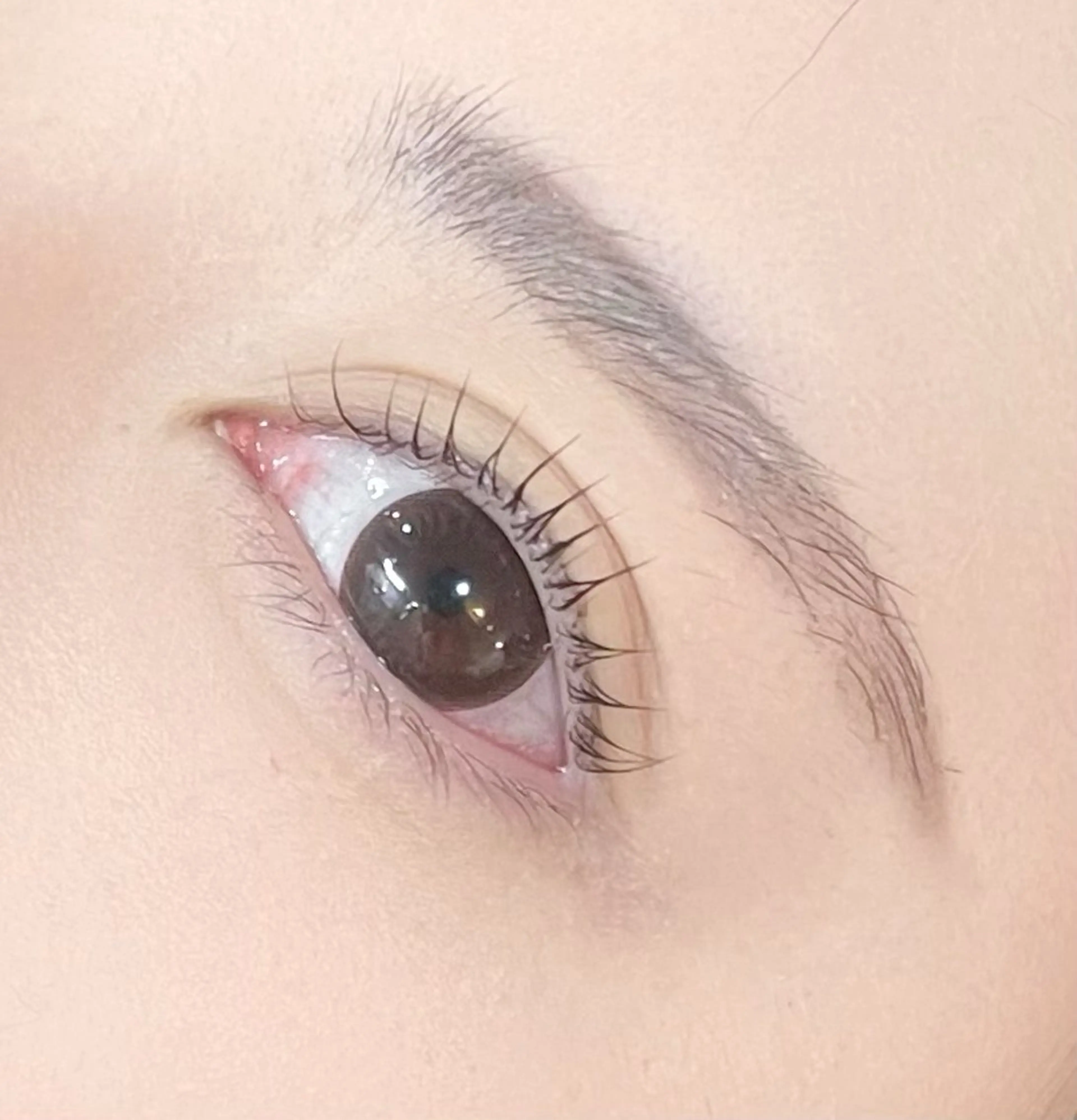 マツエク・マツパ EYELA(アイラ)柏店所属・👑EYELA 柏／ 川村👑のマツエク・マツパデザイン