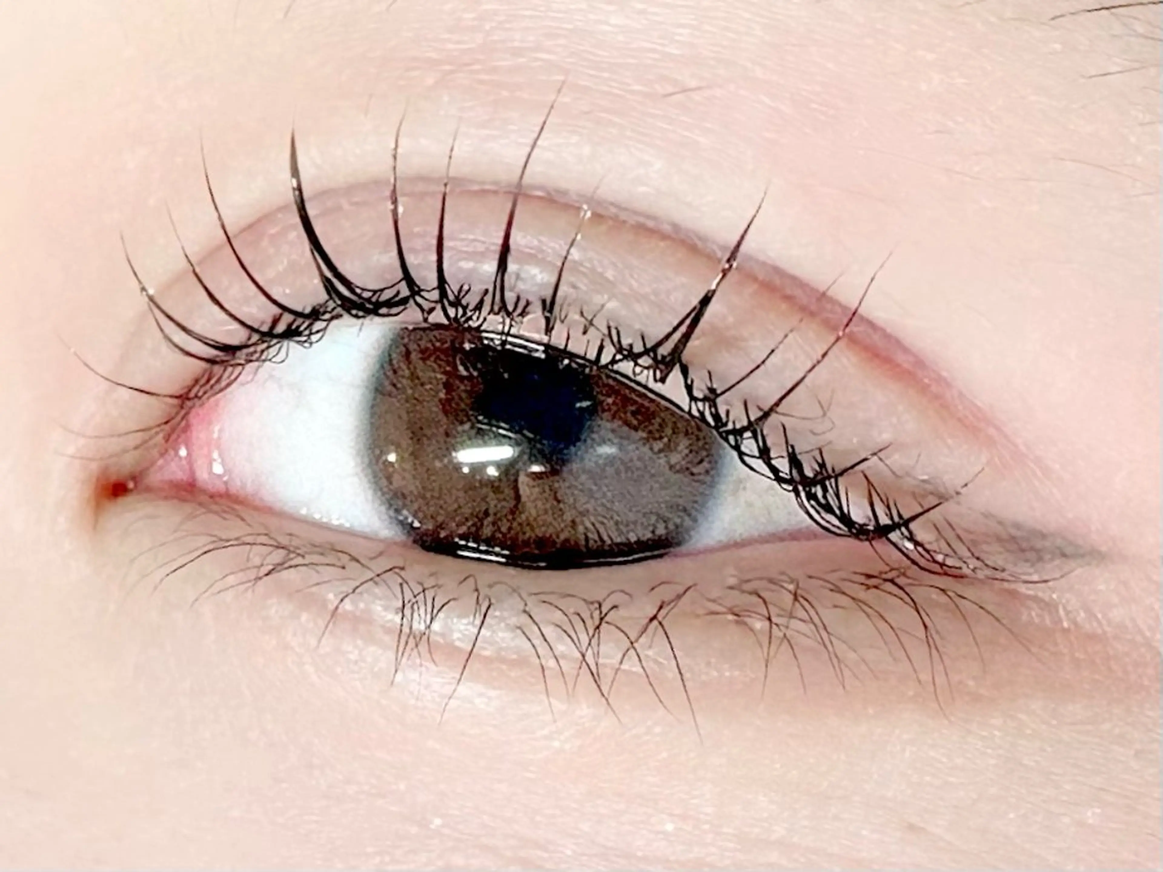 マツエク・マツパ MiURA/新技術 &研修生モデル募集用のマツエク・マツパデザイン