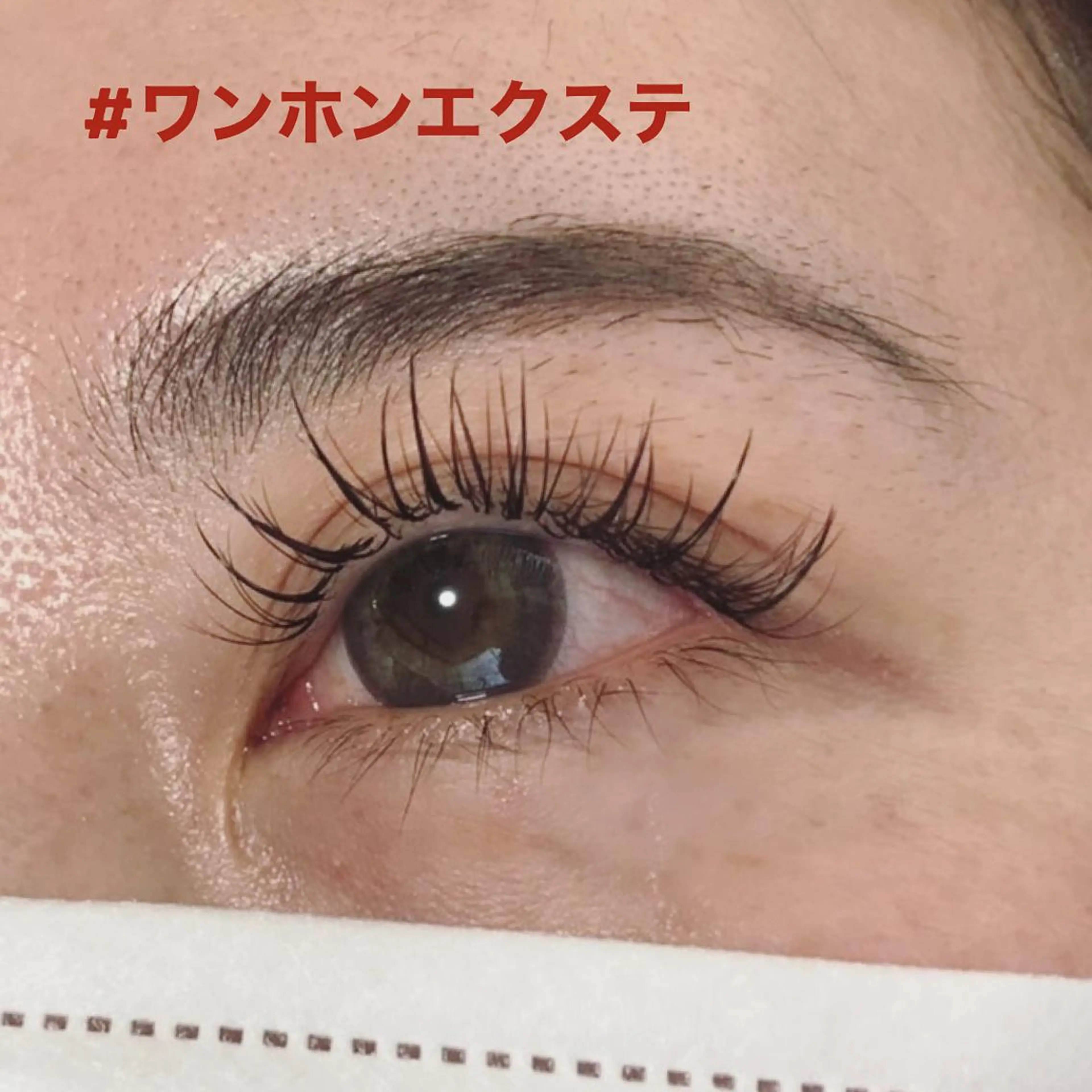 マツエク・マツパ バインドロック カラーマツエク フラットラッシュ パリジェンヌラッシュリフト ワンホンマツエク PATRA《パトラ》所属・EYEsalon PATRA《パトラ》のマツエク・マツパデザイン