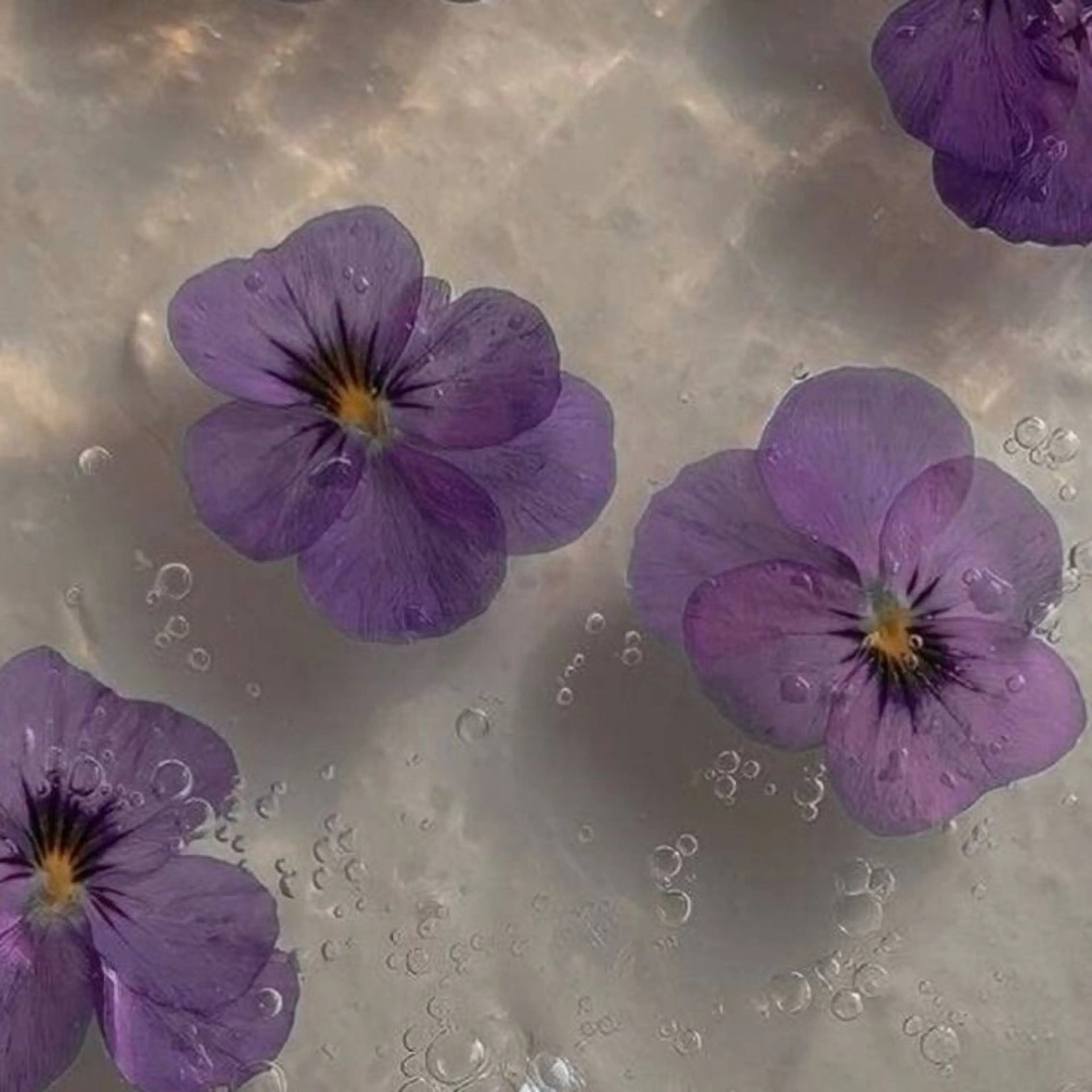 丸山 知夏のマツエク・マツパデザイン