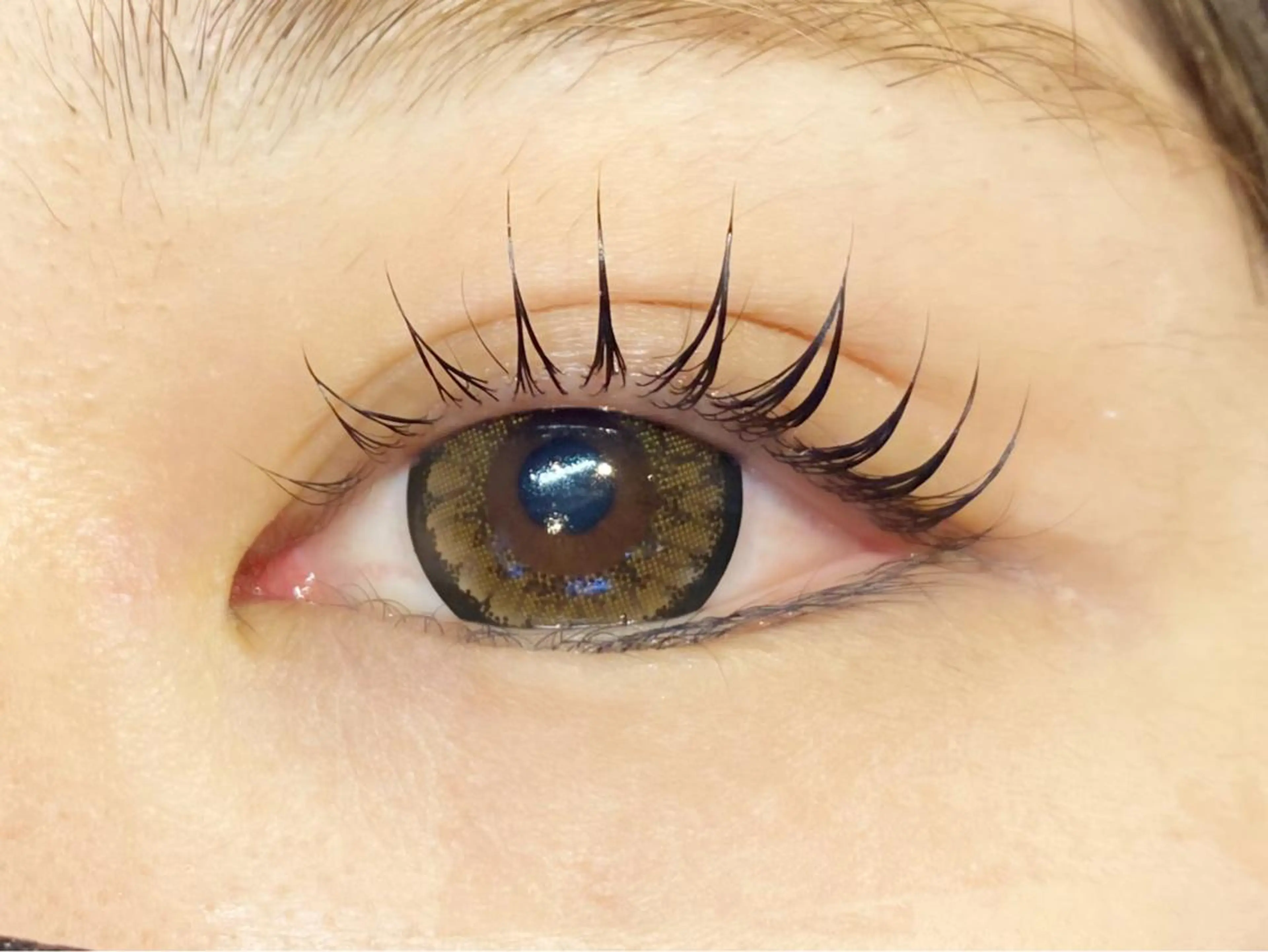 パリジェンヌラッシュリフト🥀ラッシュリフト【トリートメント付】の写真