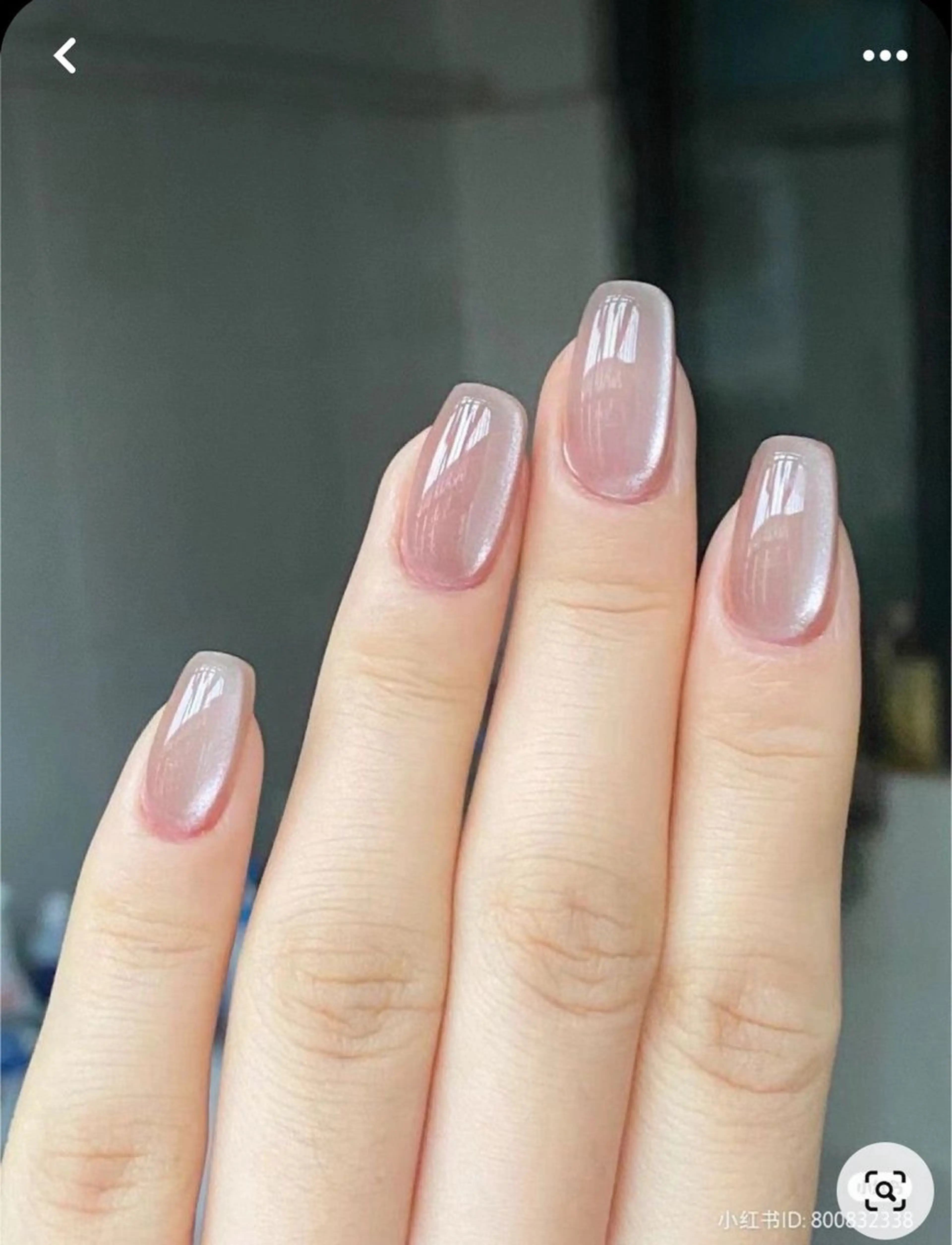 🌸【人気No1】マグネットワンカラー【オフなし】ケア込み　1色追加の場合+200円の写真