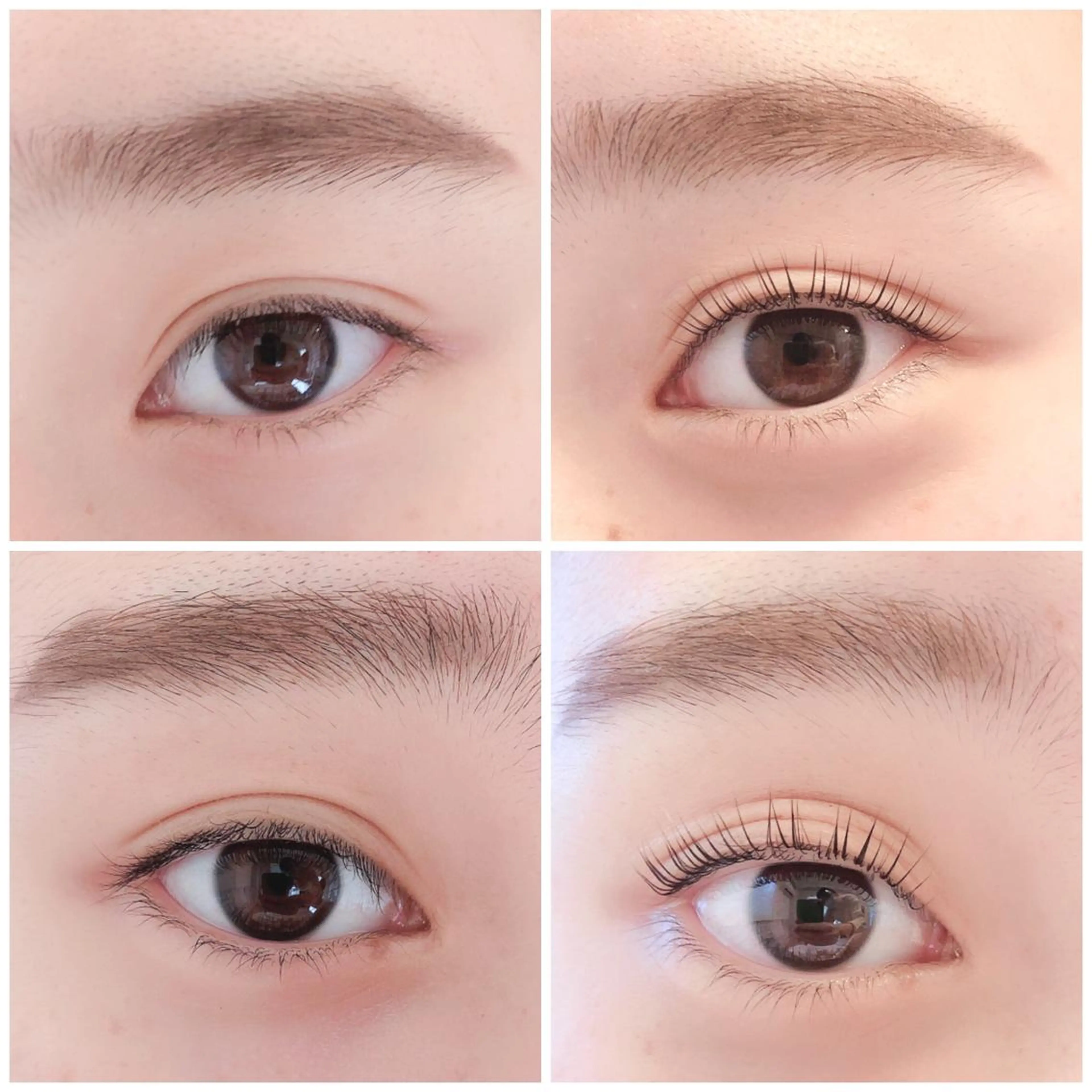 マツエク・マツパ Aube l .nord所属・Aubel.nord 《オーベルノール》のマツエク・マツパデザイン