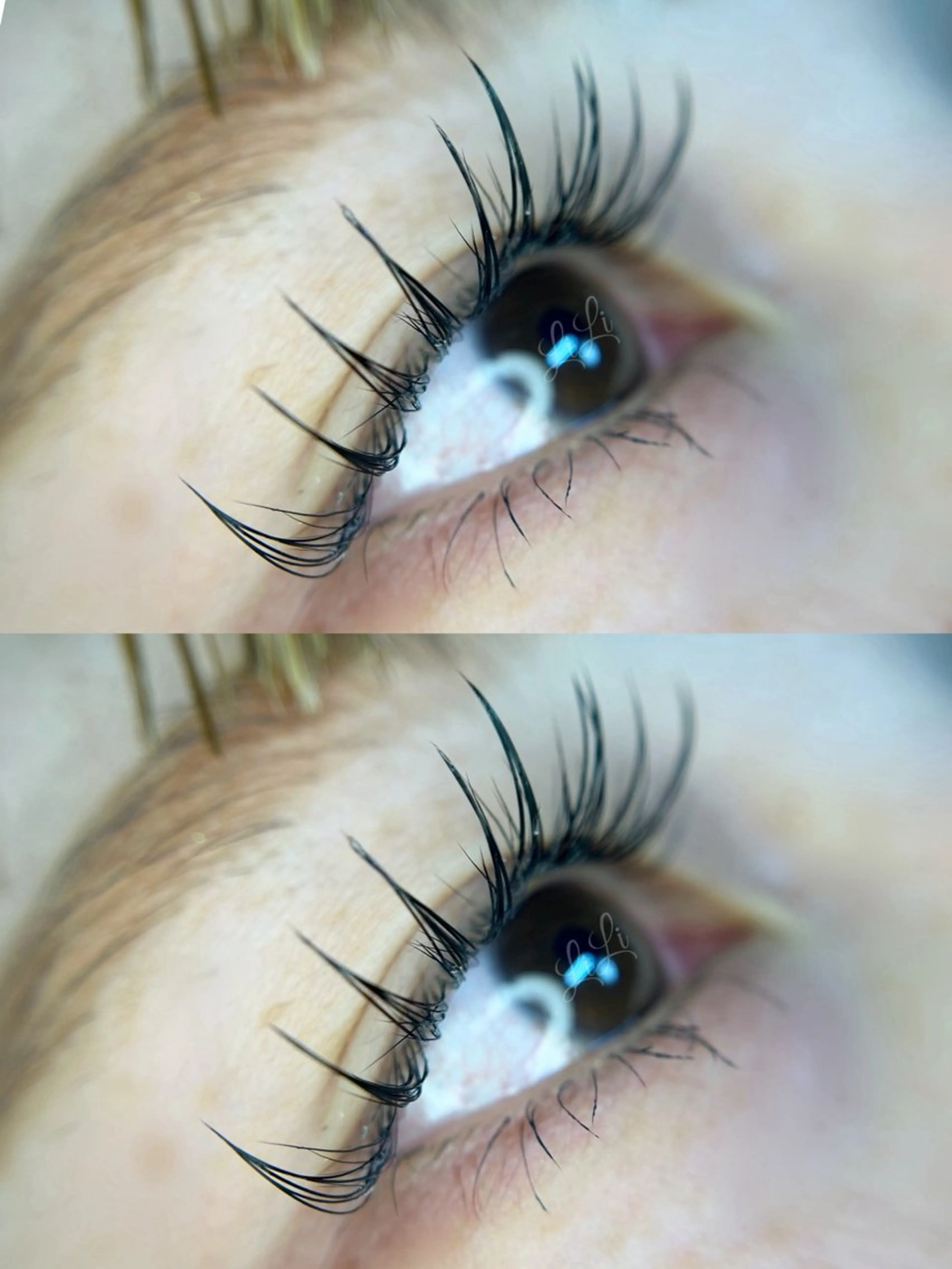 マツエク・マツパ Cカール フラットラッシュ まつげエクステLiLi所属・まつげエクステ LiLiのマツエク・マツパデザイン
