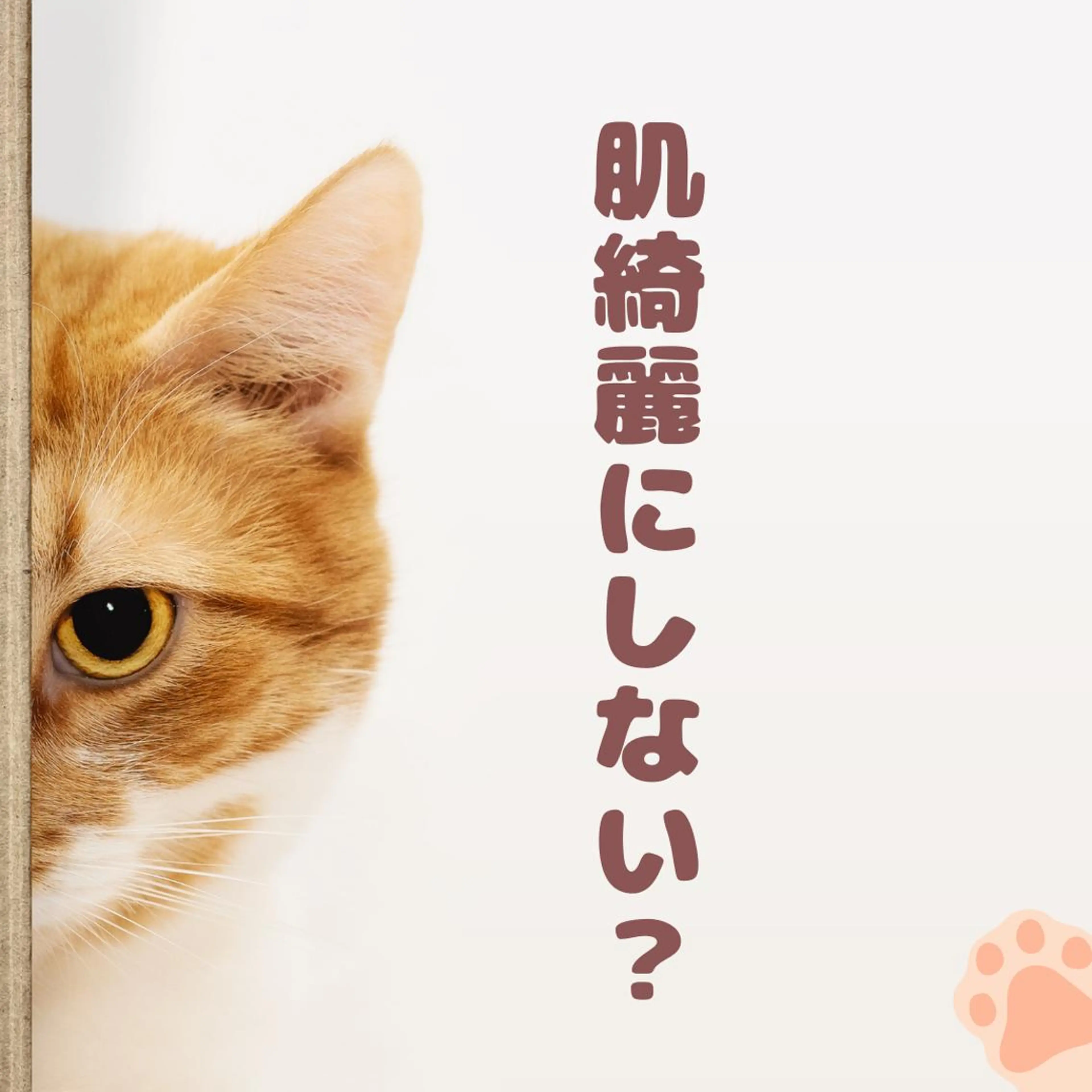 セミロング カラー パーマ ヘアアレンジ メンズ キッズ ネイル マツエク・マツパ アイブロウ エステ リラク ニキビ特化型エステ 🍓最短で肌質改善のその他イメージ