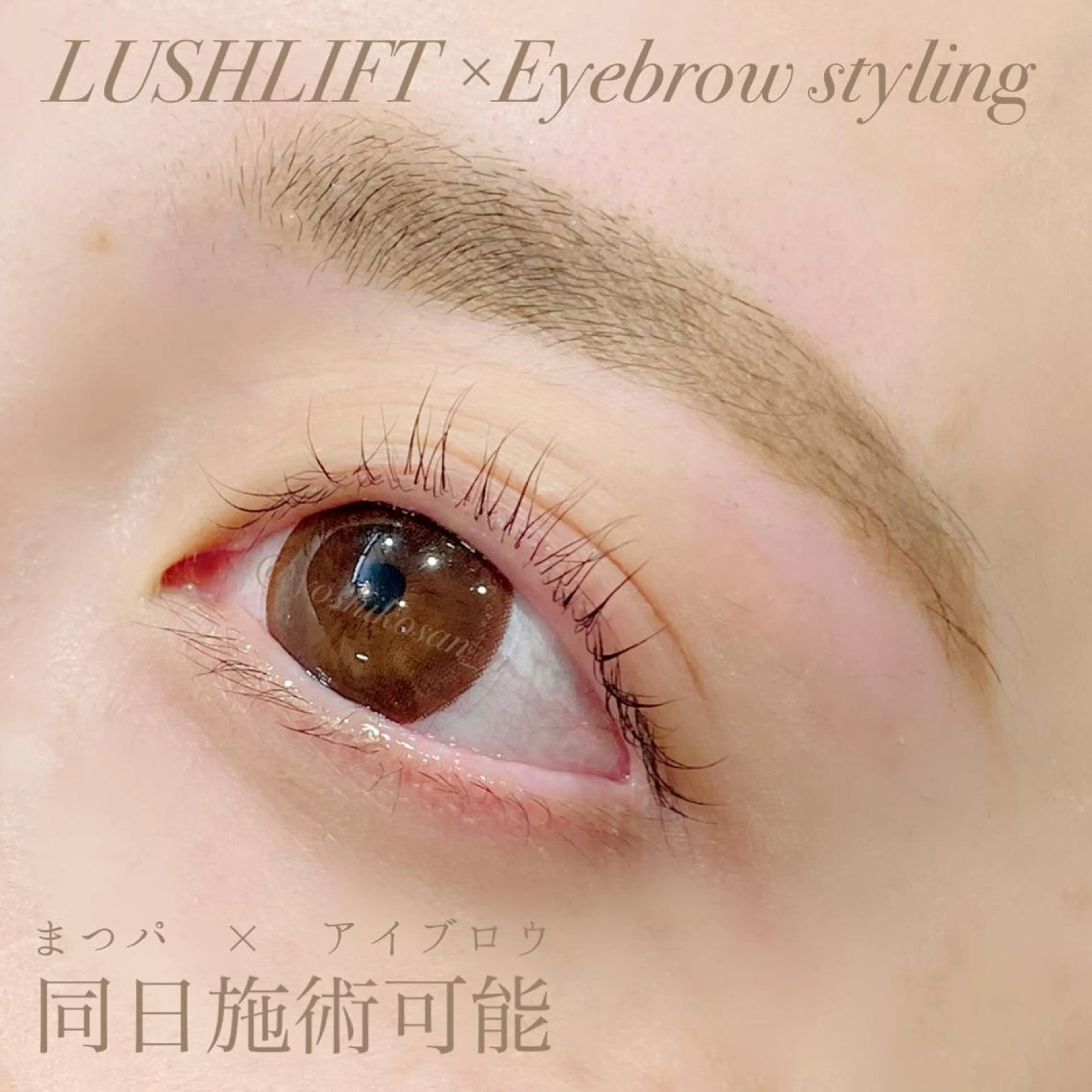 マツエク・マツパ アイブロウ 一重×まつ毛パーマ マツパ Pixie Bob 🐈‍⬛　位田のマツエク・マツパデザイン