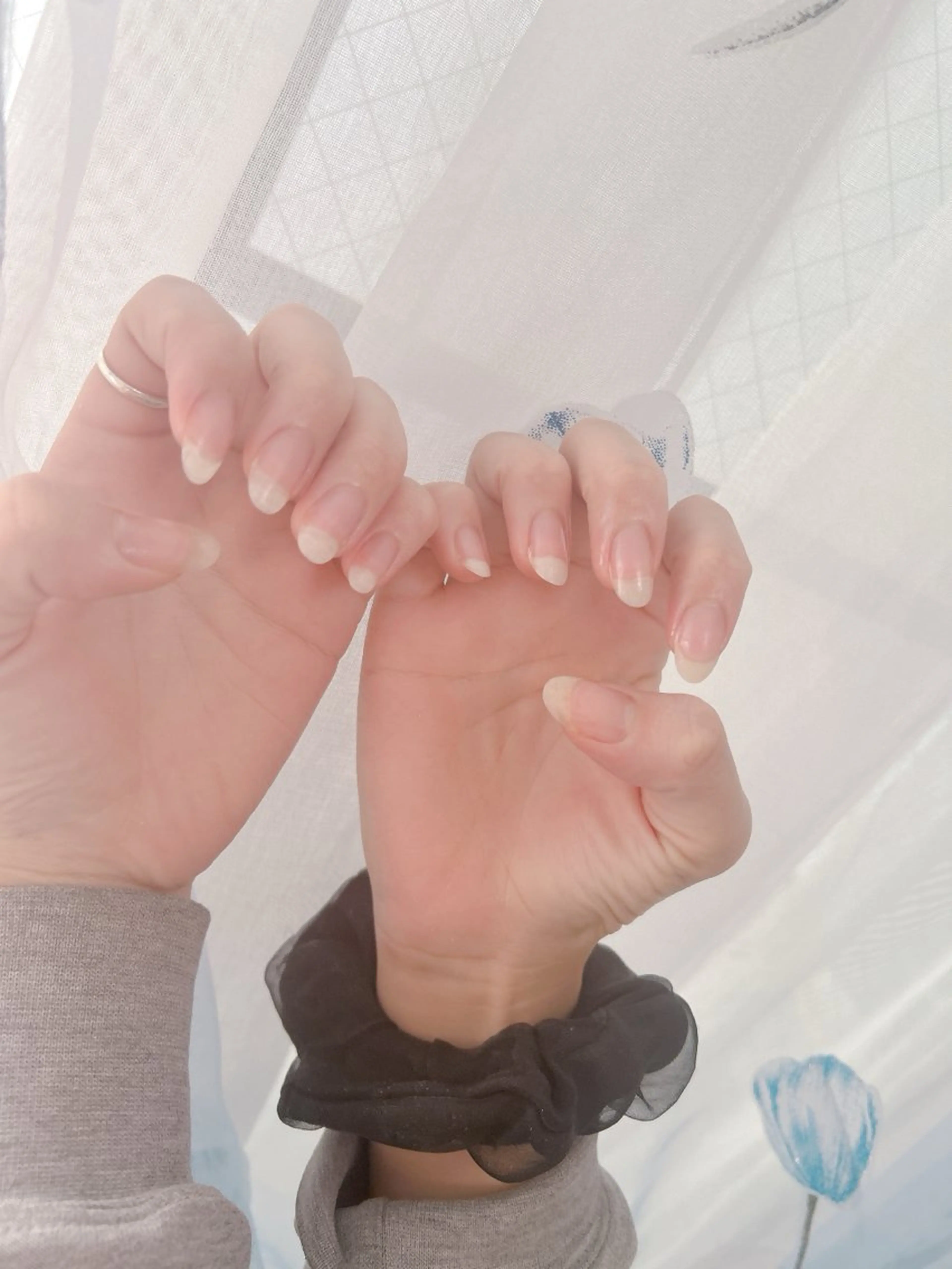 【オフのみ】の写真