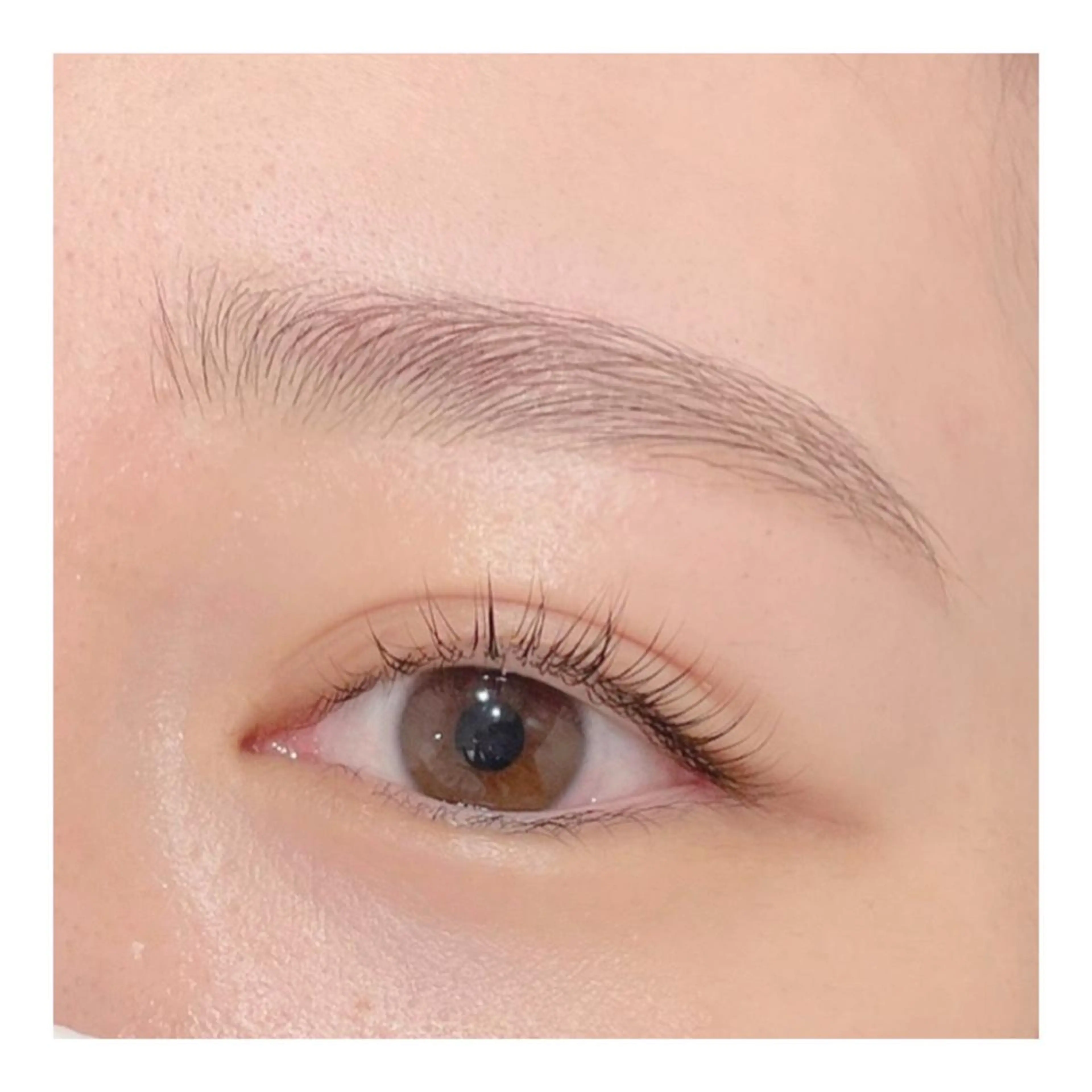 ワックス脱毛 眉カット その他(アイブロウ) GO TODAY 表参道Flos店所属・眉毛サロン🐈‍⬛ kasumi🎀の眉毛・アイブロウイメージ