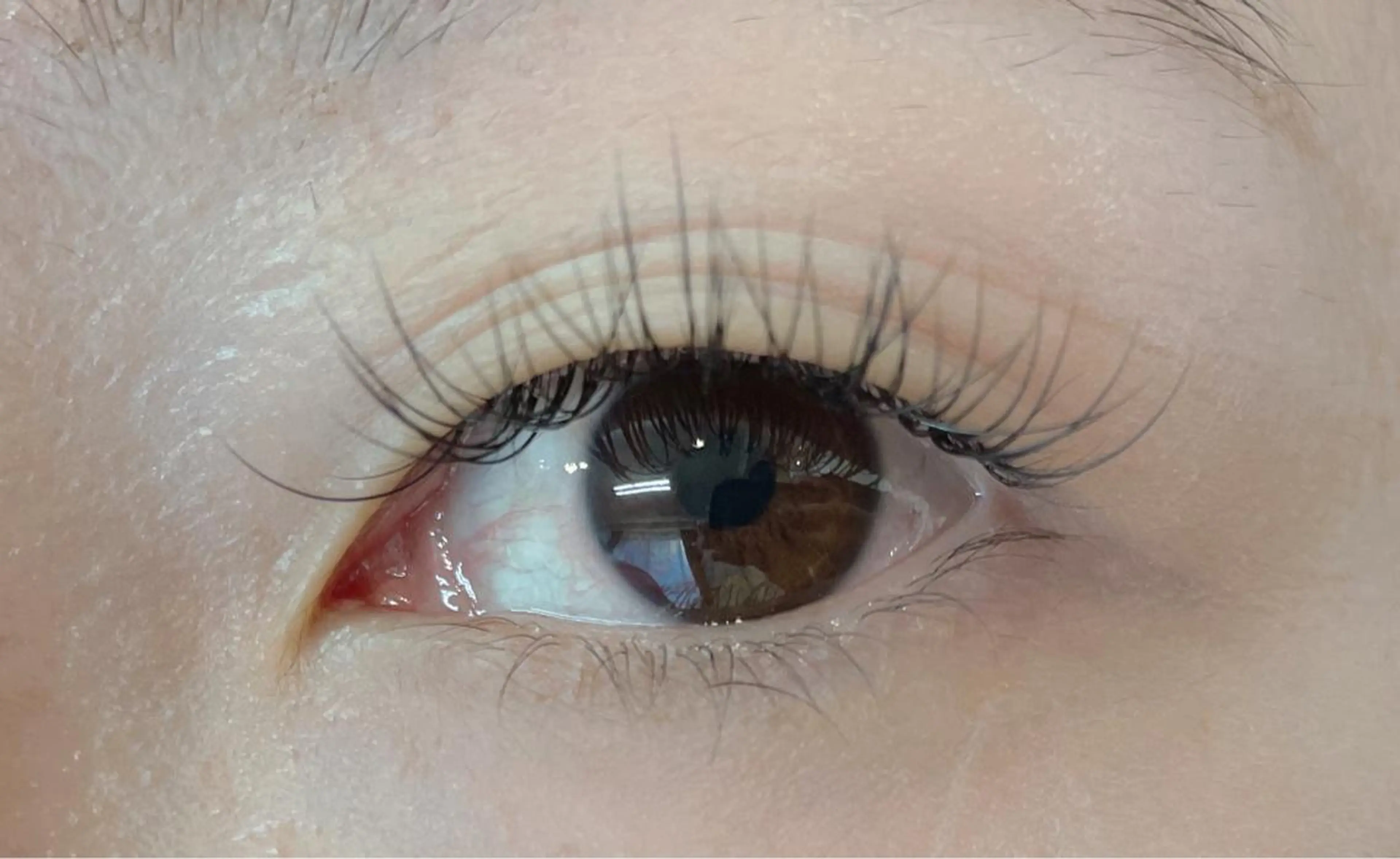 マツエク・マツパ まつげパーマ専門店 miel蒲田店 ［ミエル蒲田店］所属・NO ZA  KIのマツエク・マツパデザイン