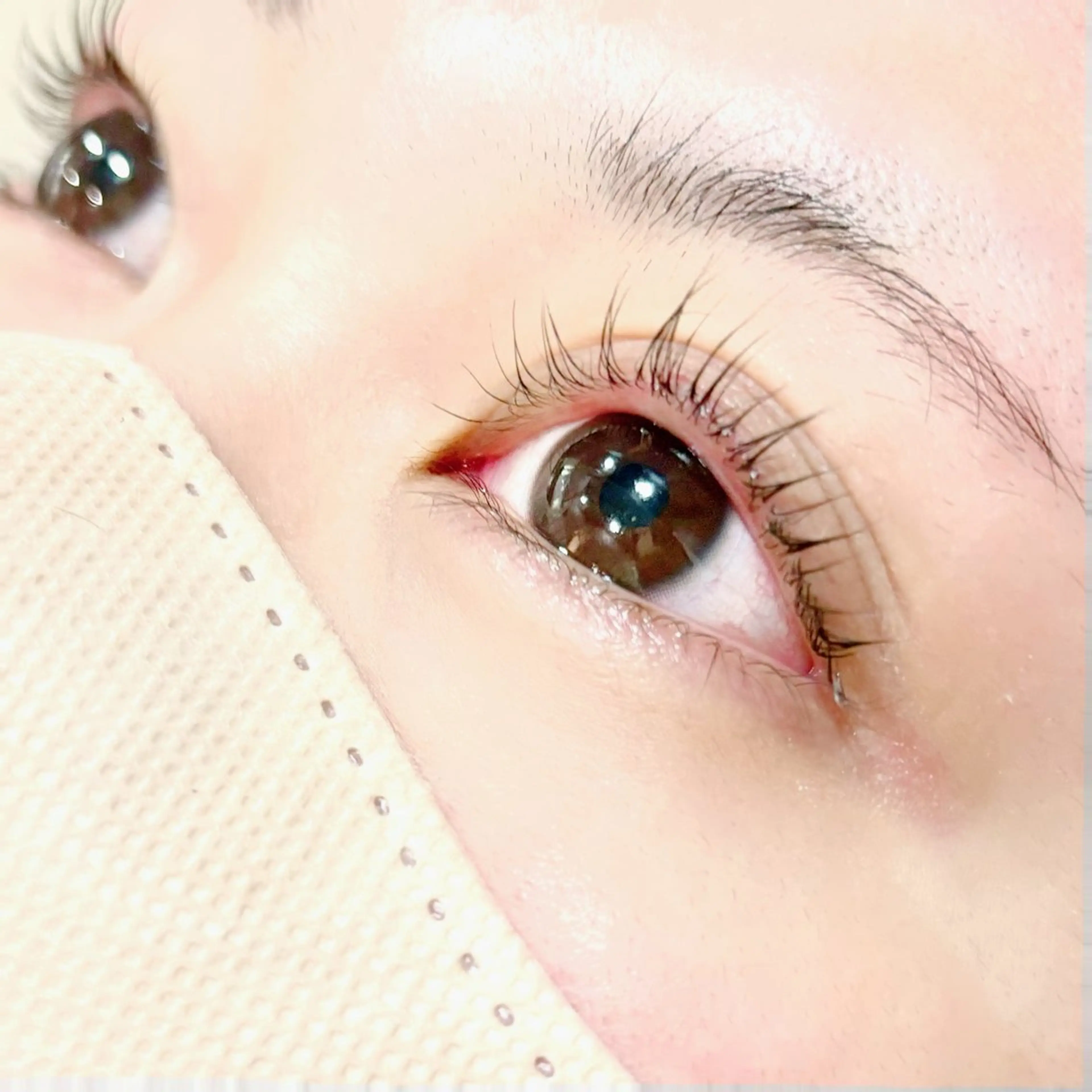 新規🌸まつ毛カール☆¥5,500→¥3,960🌸の写真