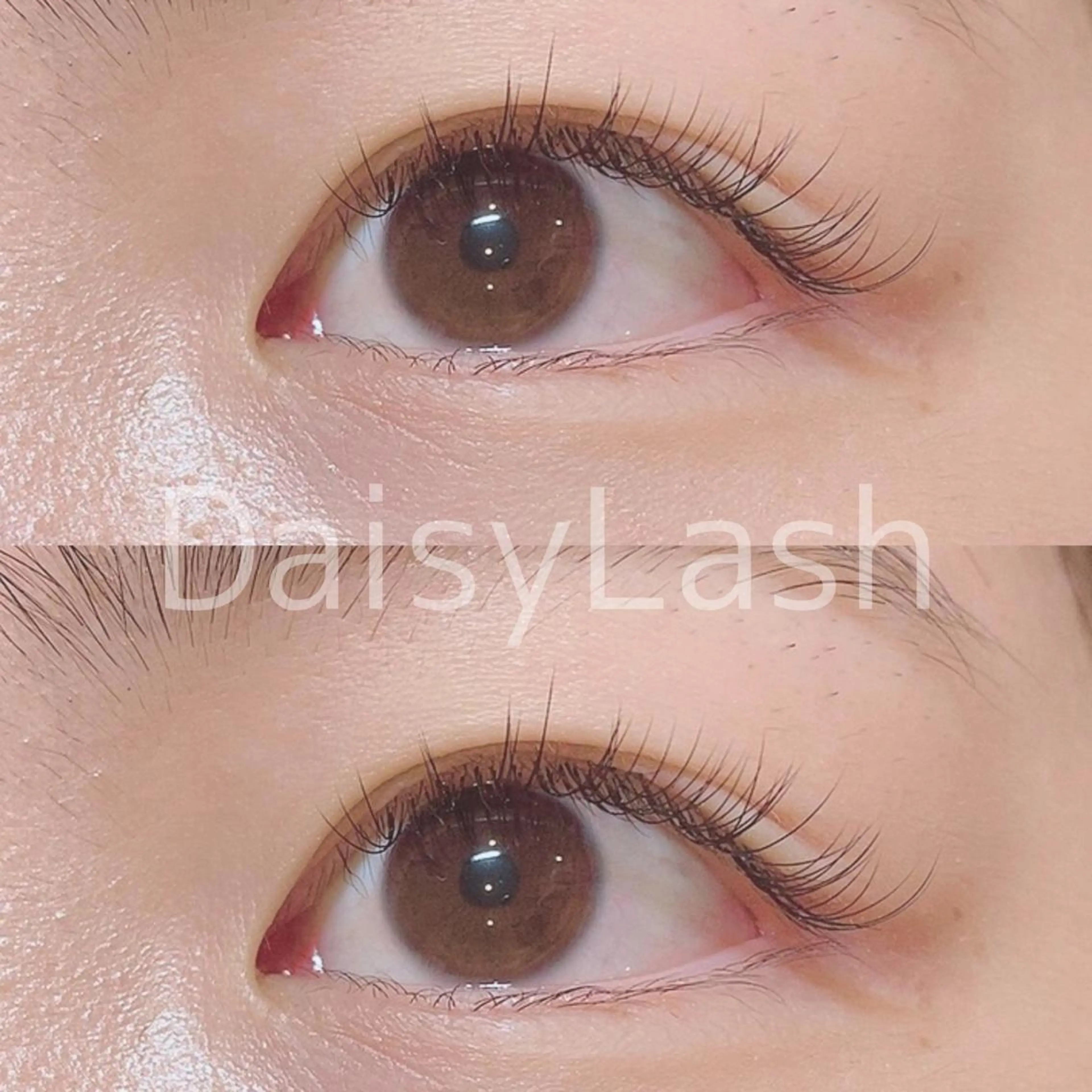 マツエク・マツパ DaisyLash 京橋店のマツエク・マツパデザイン