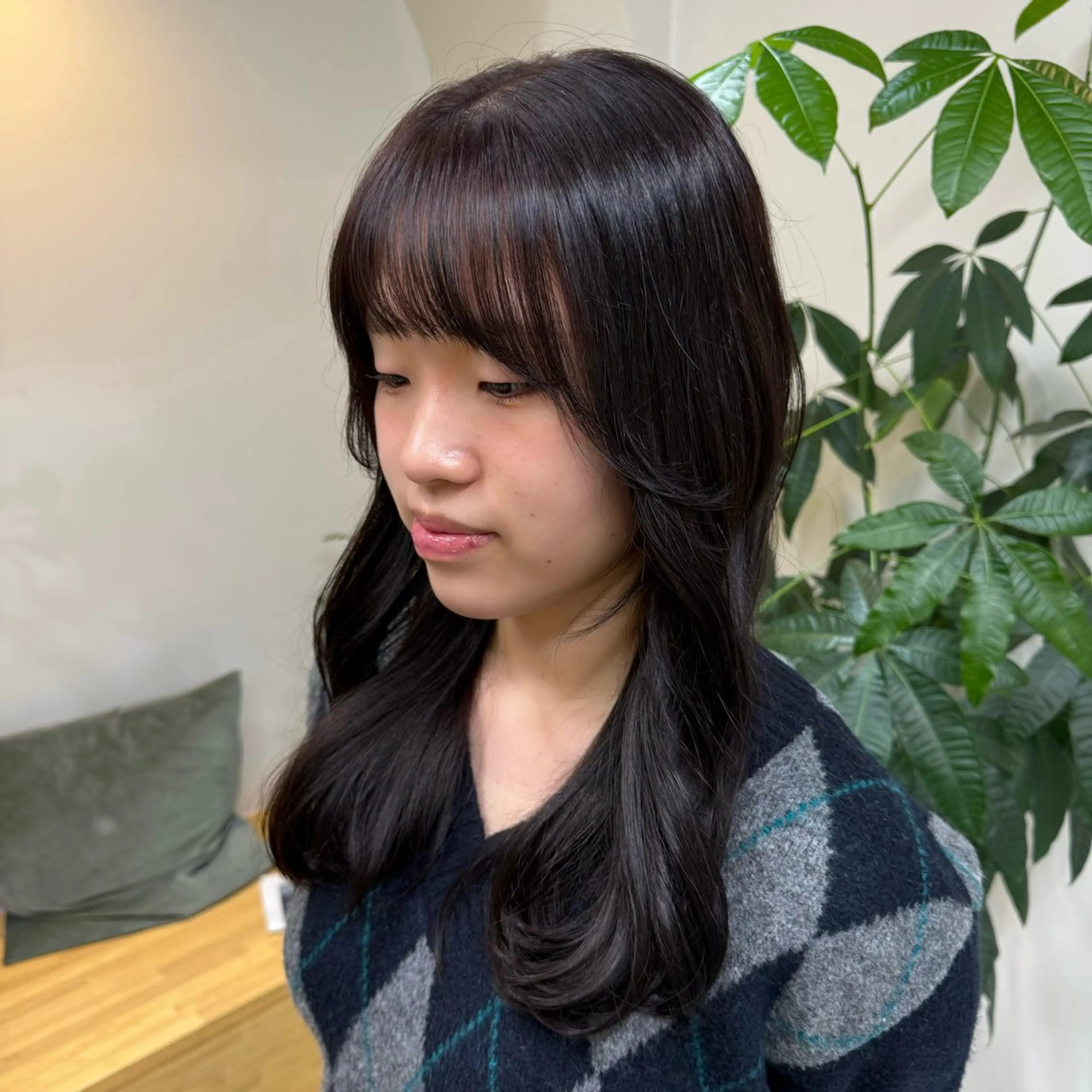 ワンカラー(暗くしたい方向け)の写真