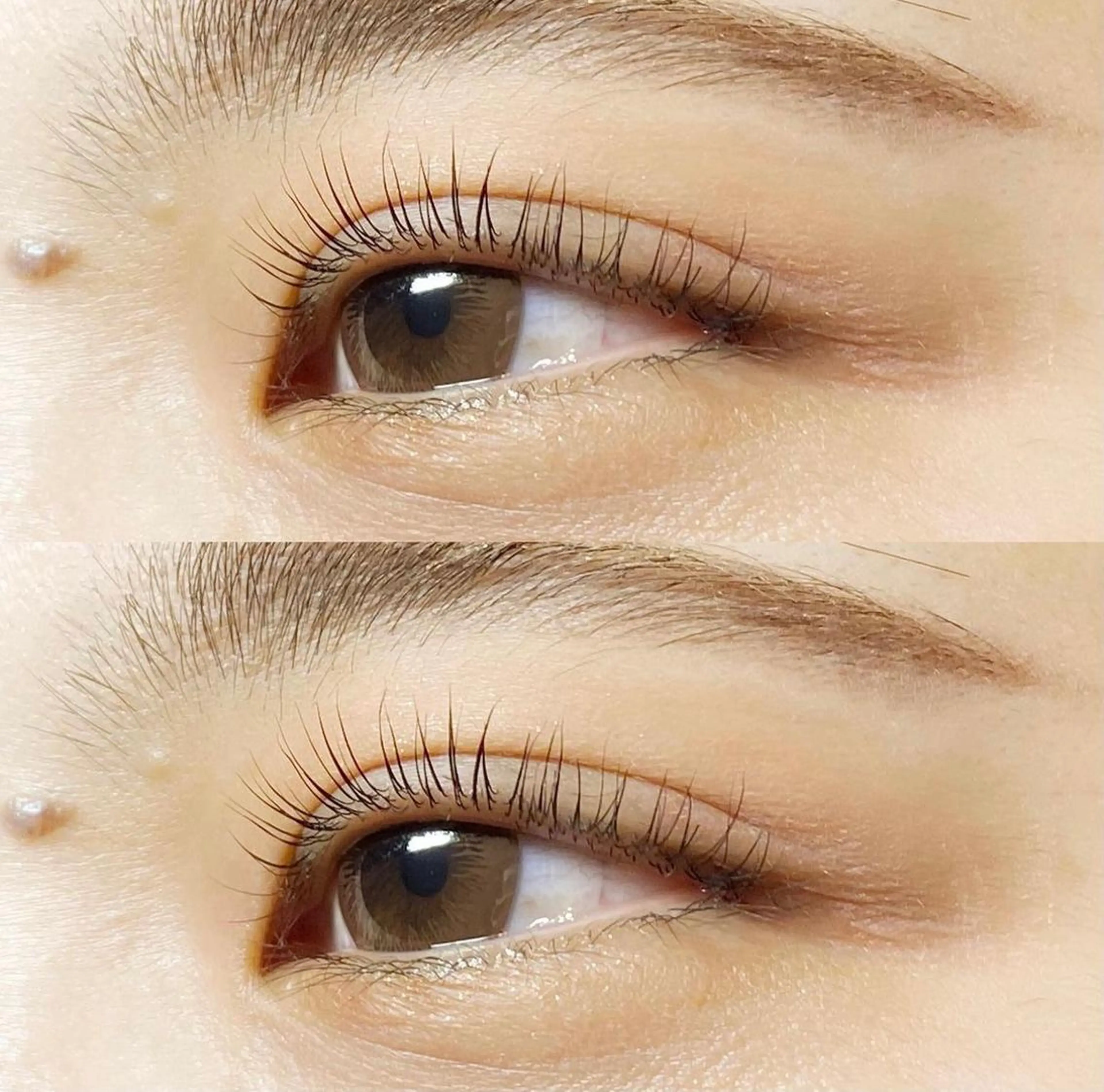 マツエク・マツパ mooi beloep所属・mooi beloepのマツエク・マツパデザイン