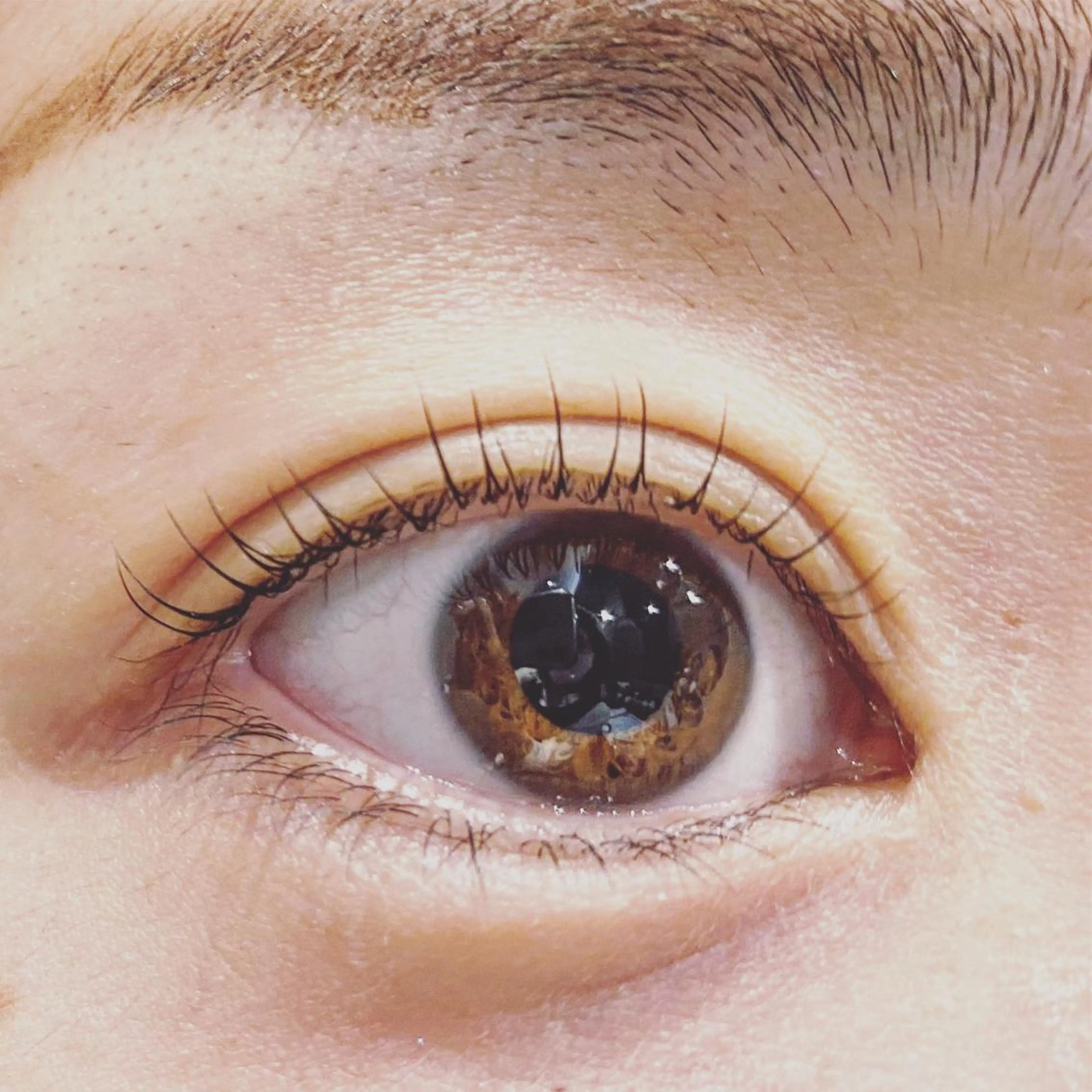 アイブロウワックス×ラッシュリフト🌼の写真