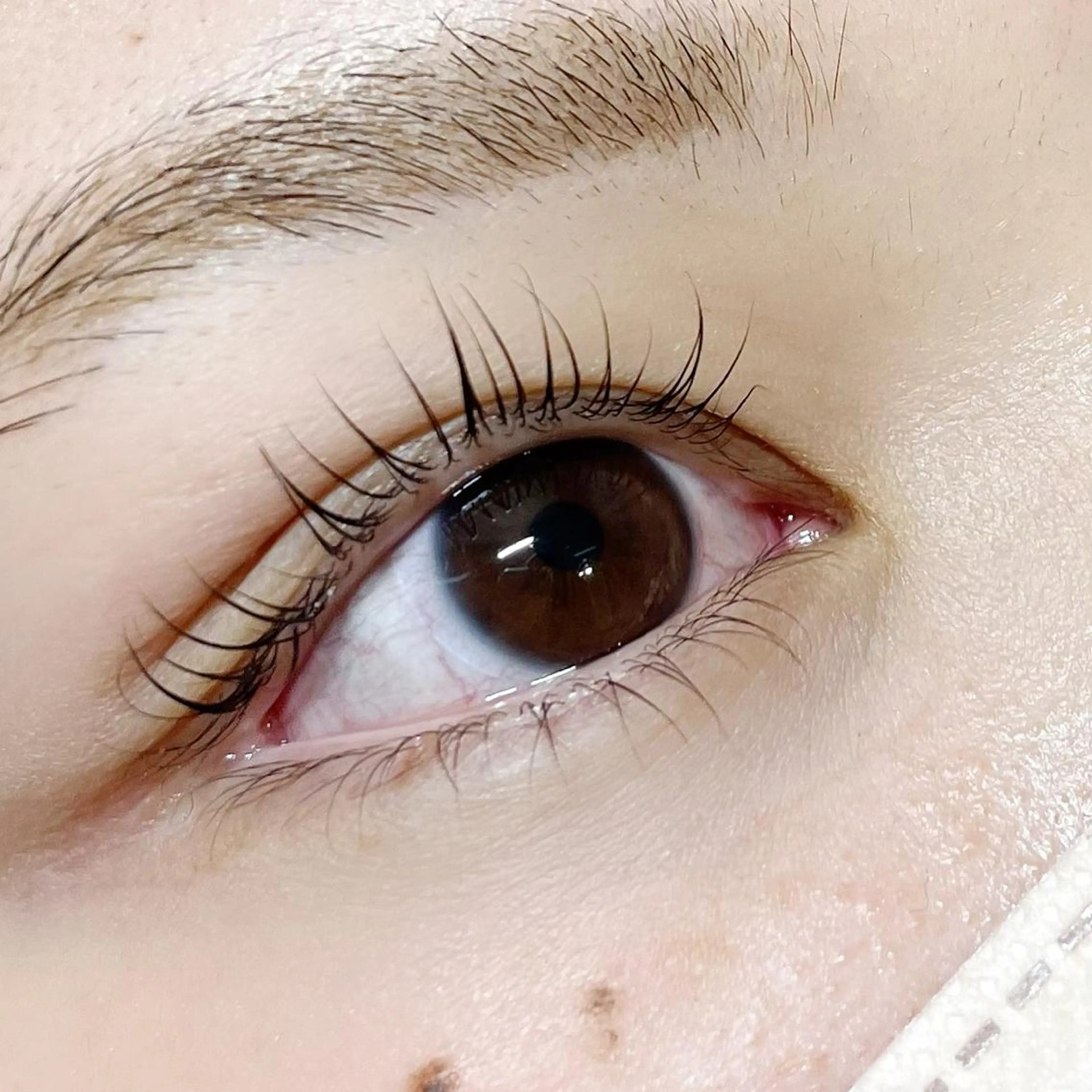 マツエク・マツパ Lumity川越 増川愛花のマツエク・マツパデザイン