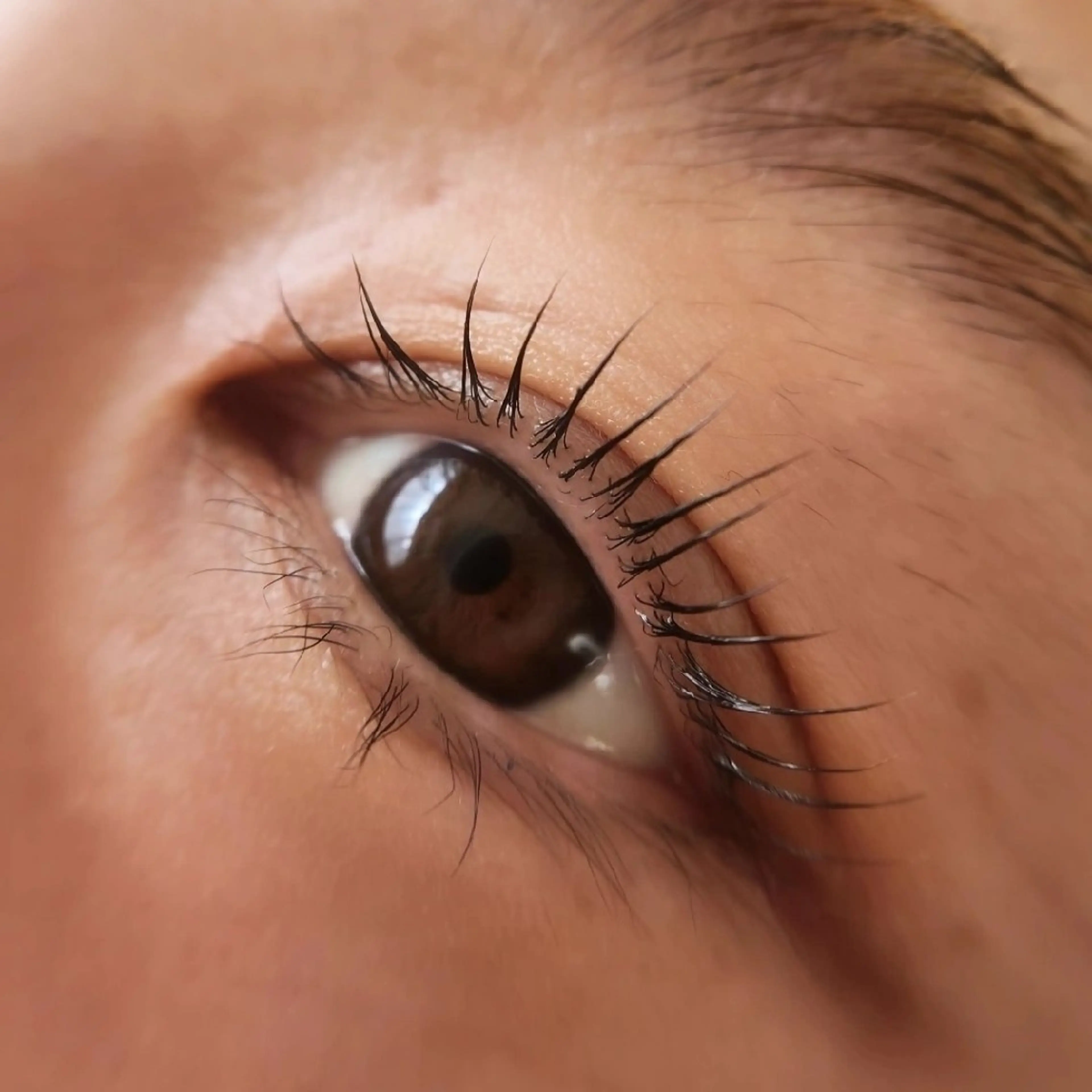 マツエク・マツパ Eyeherbskin所属・札幌東区・デザイン まつげパーマのマツエク・マツパデザイン