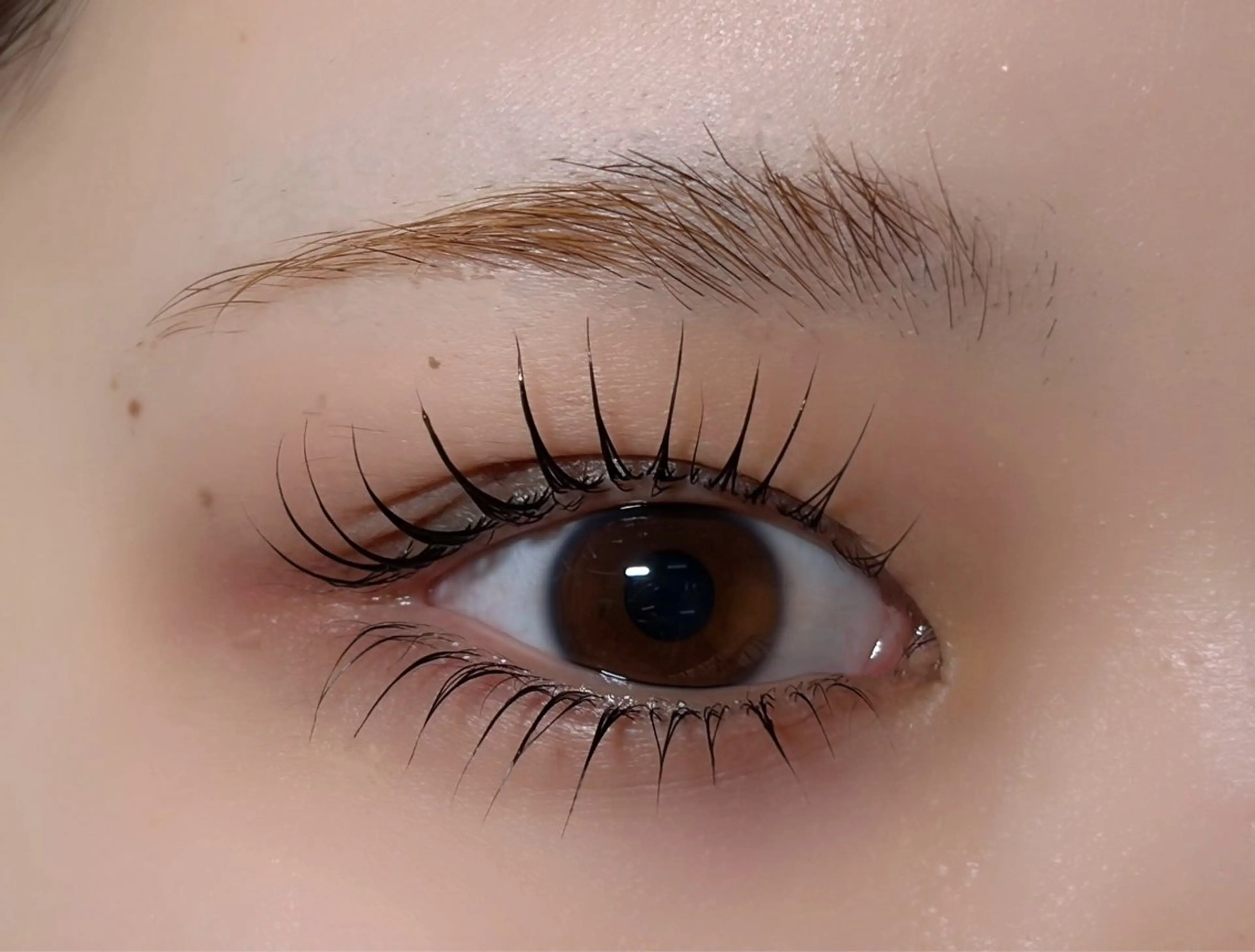 マツエク・マツパ 束感まつ毛 一重×まつ毛パーマ マツパ Lino New Open 【リノ】 (リノ ニューオープン)所属・【Lino】 nonokaのマツエク・マツパデザイン