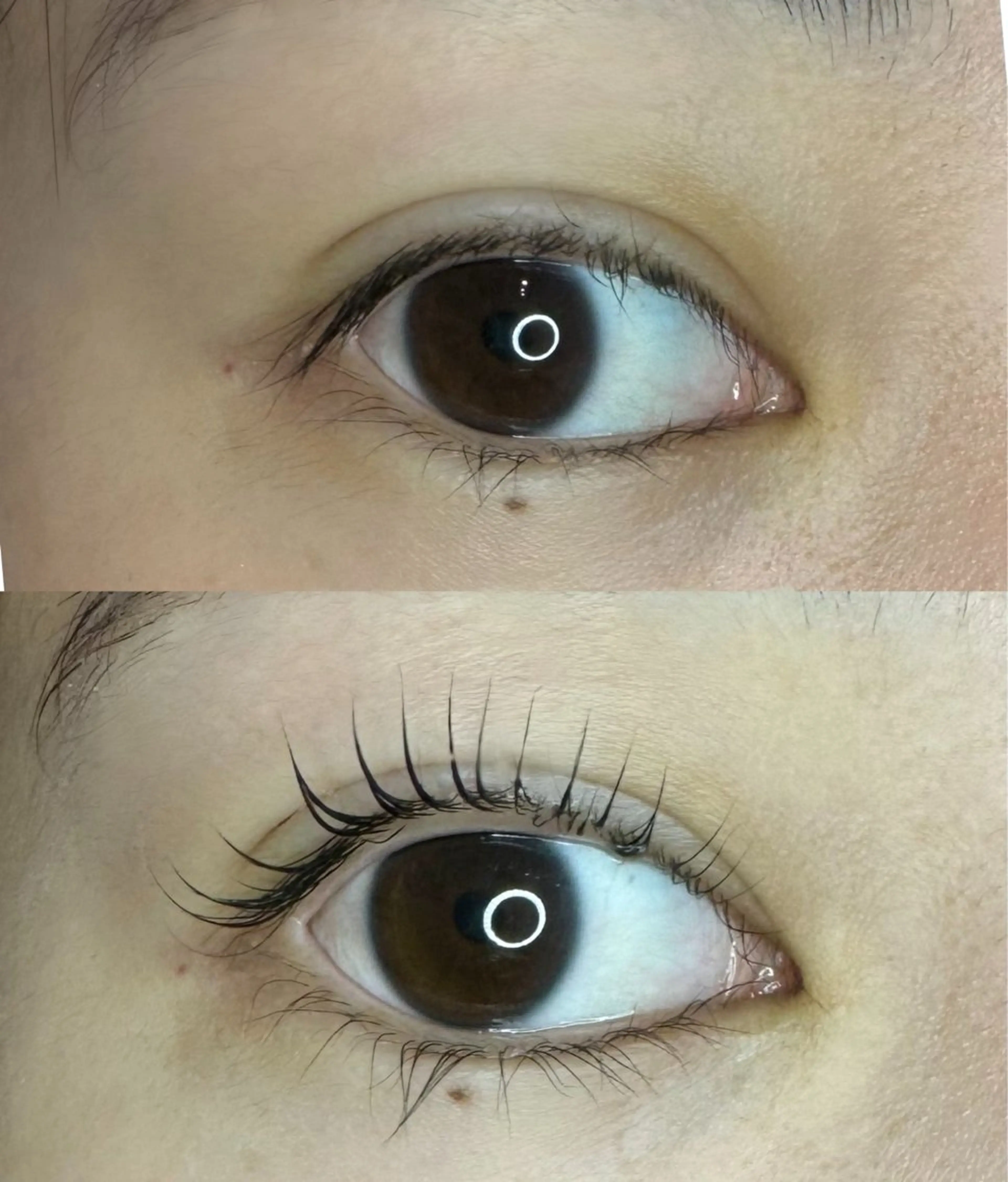 マツエク・マツパ 一重×まつ毛パーマ RaumChouChou所属・齋 藤のその他イメージ