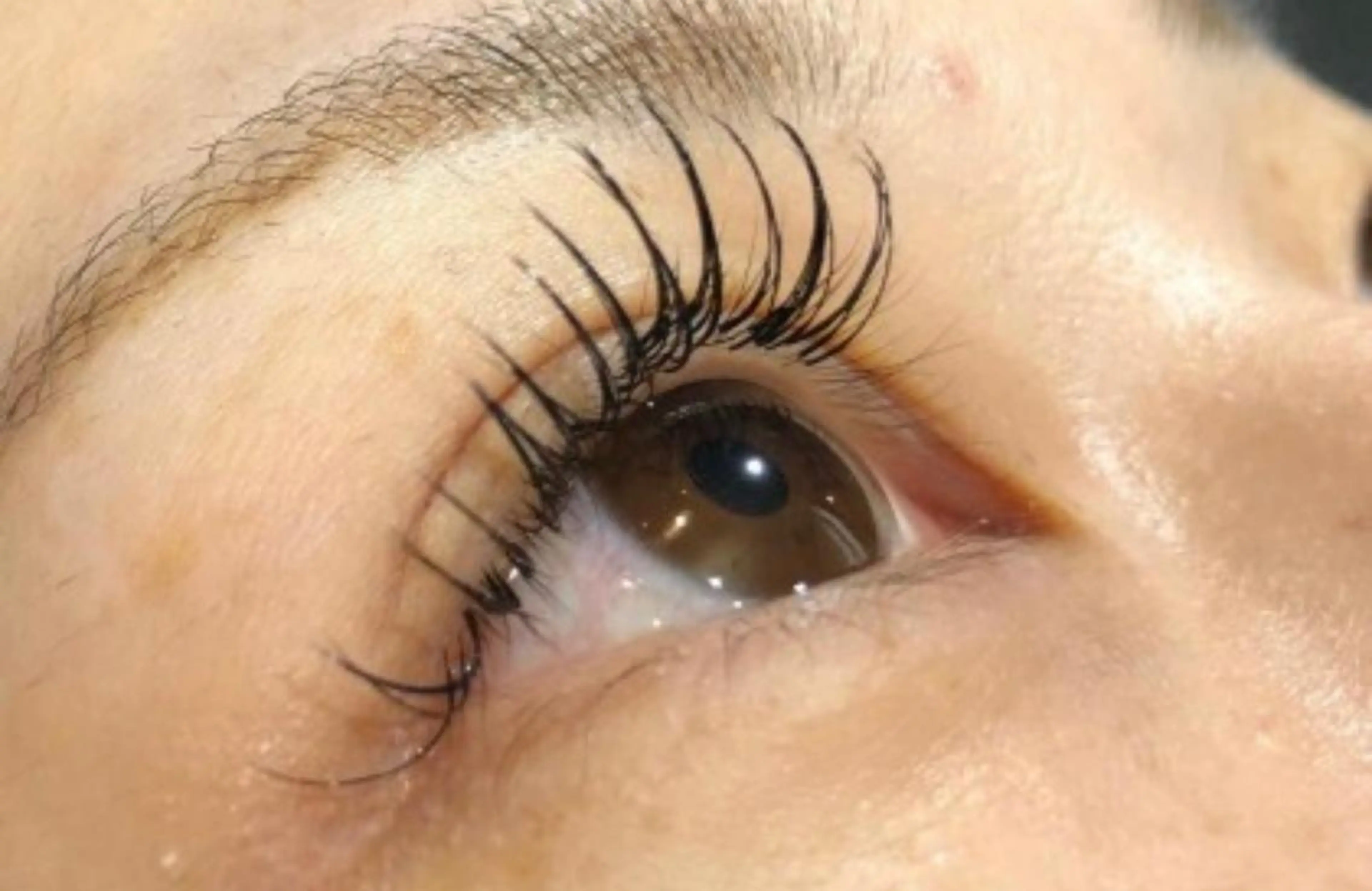 マツエク・マツパ Ai Quick 北千住🌿saitoの眉毛・アイブロウイメージ