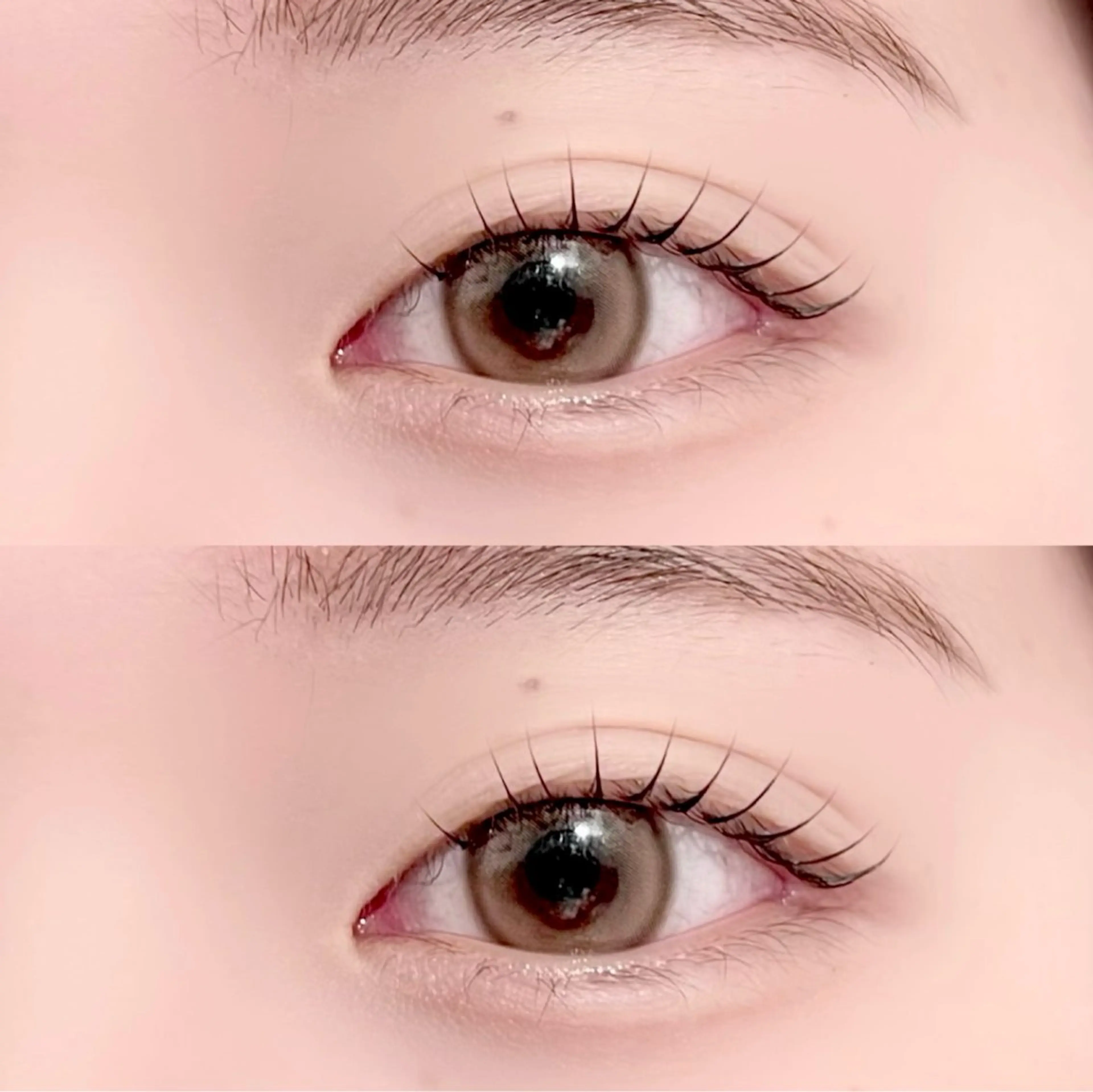 マツエク・マツパ マツパ 🕊MaazLash 4🕊️のマツエク・マツパデザイン