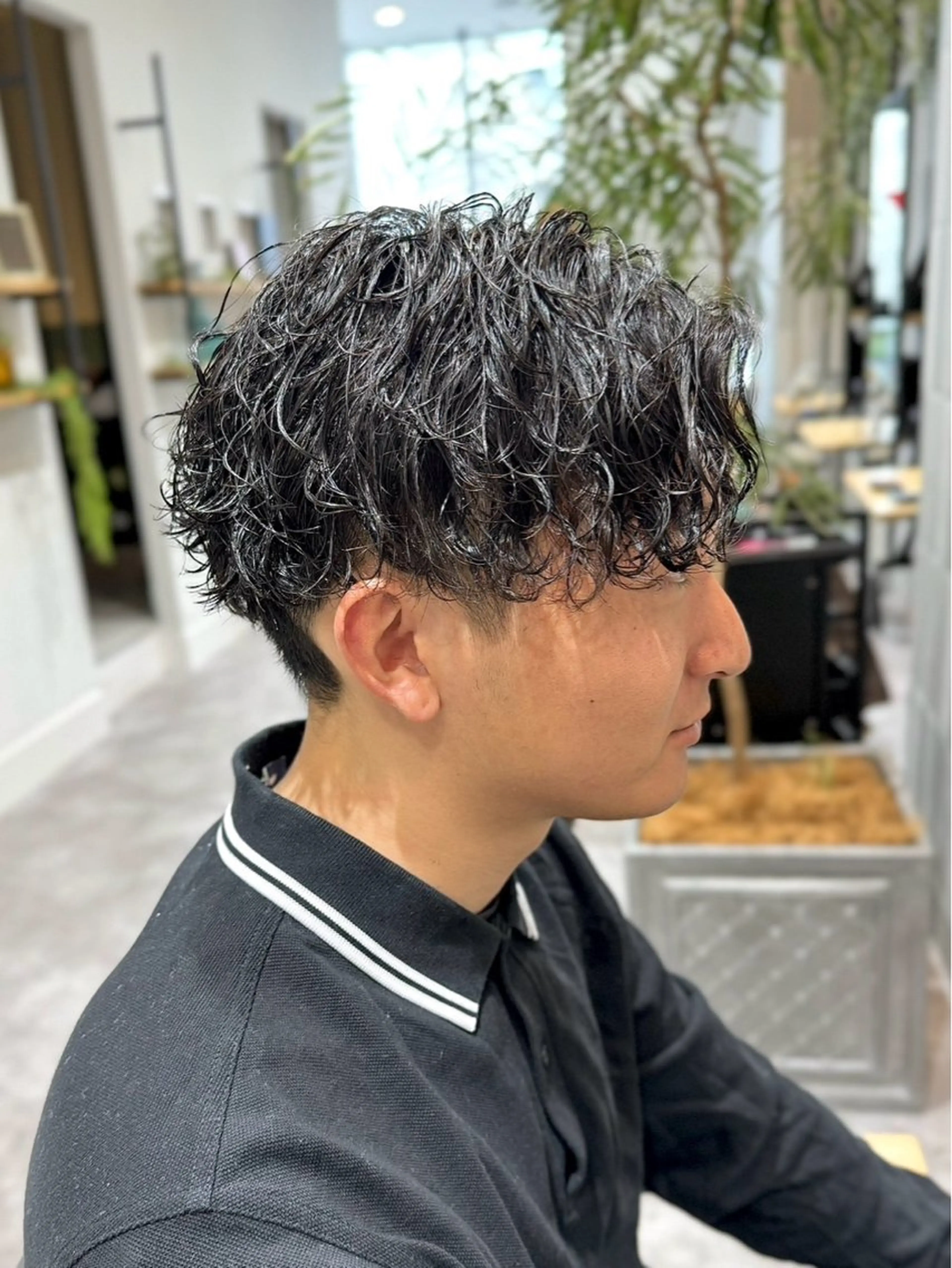 ショート パーマ メンズ 林 美佑のヘアスタイル