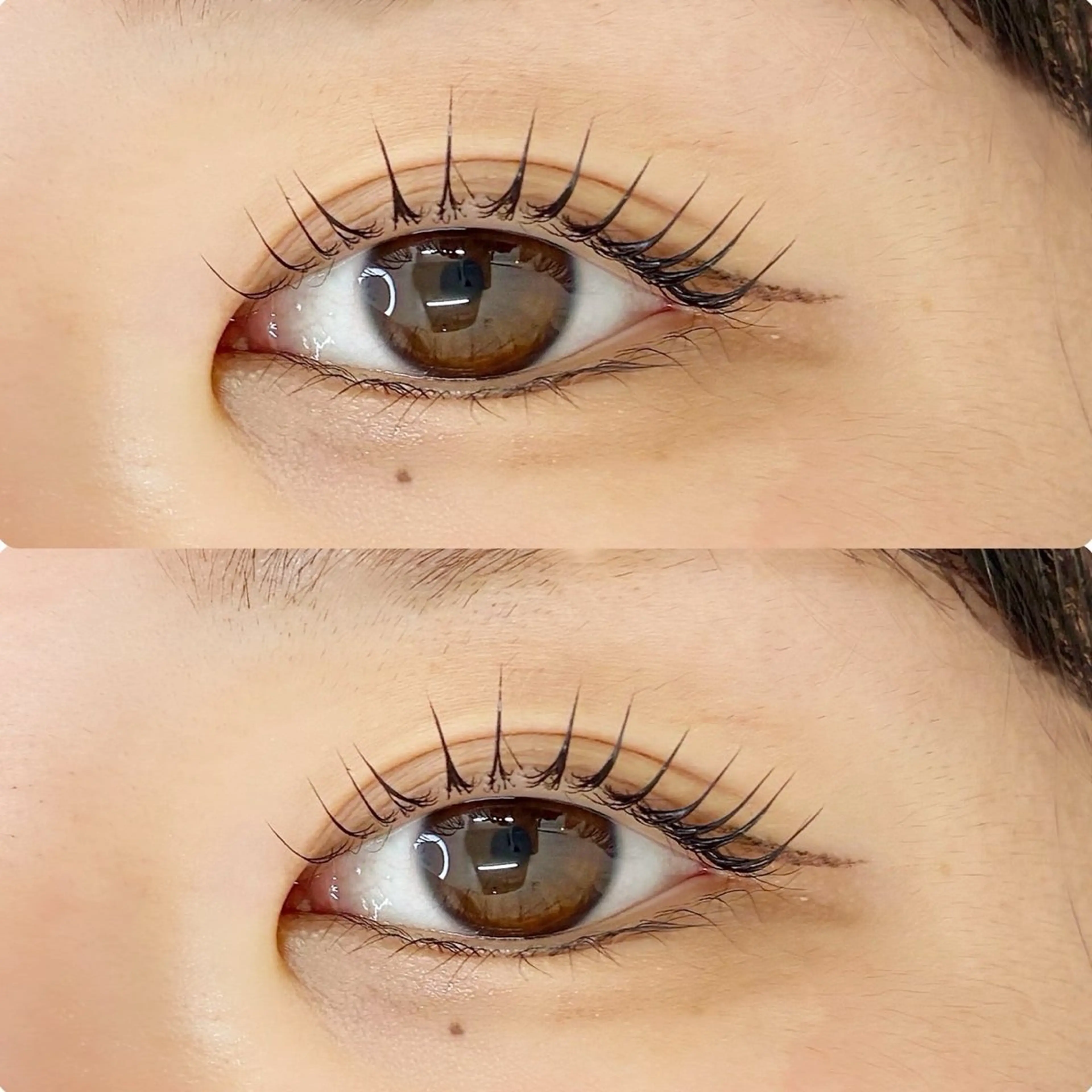 新規🤍[まつパ]  ⟡.·ラッシュリフト⟡.·の写真