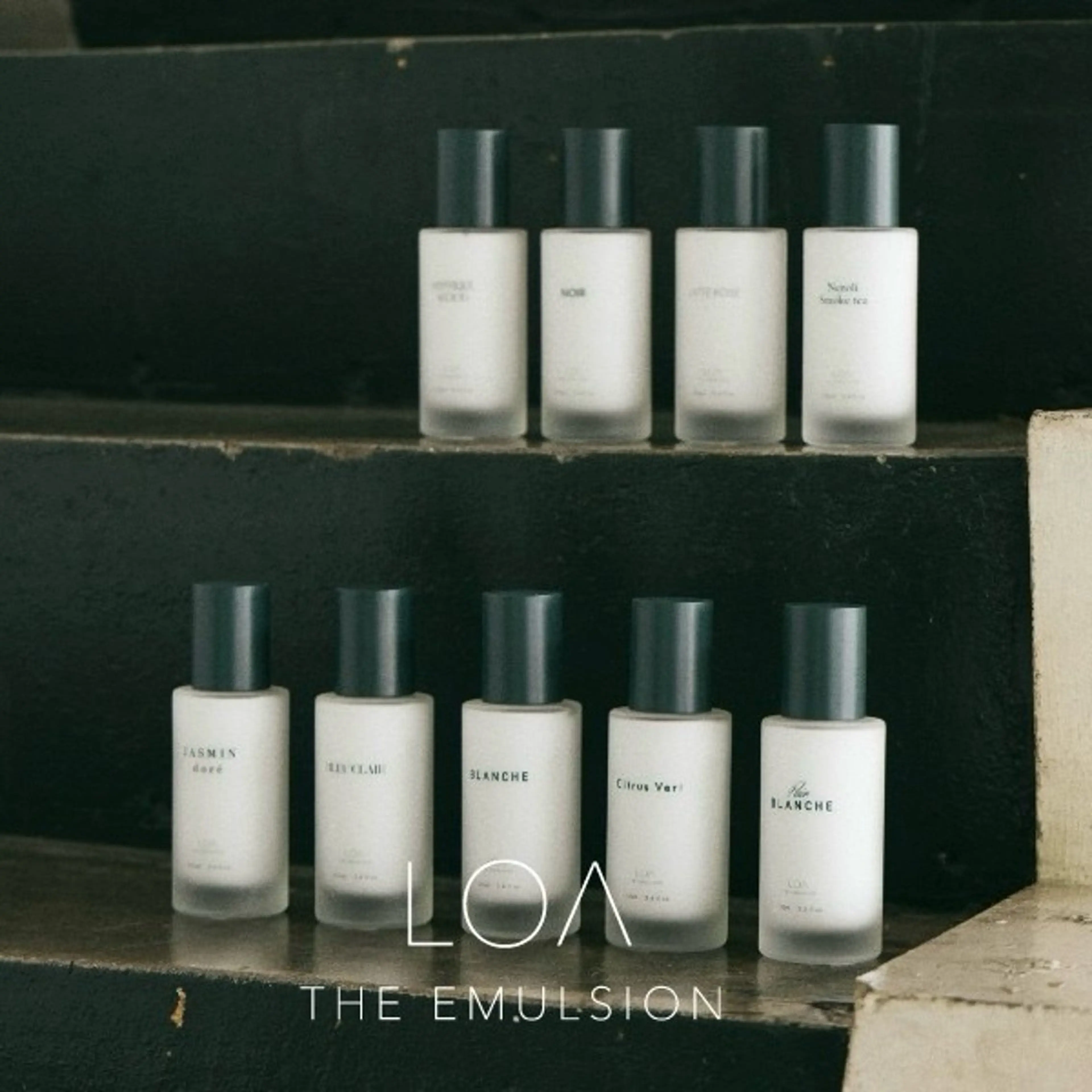 トリートメント ハイトーン/ウルフ /小澤凌祐🦕のヘアスタイル