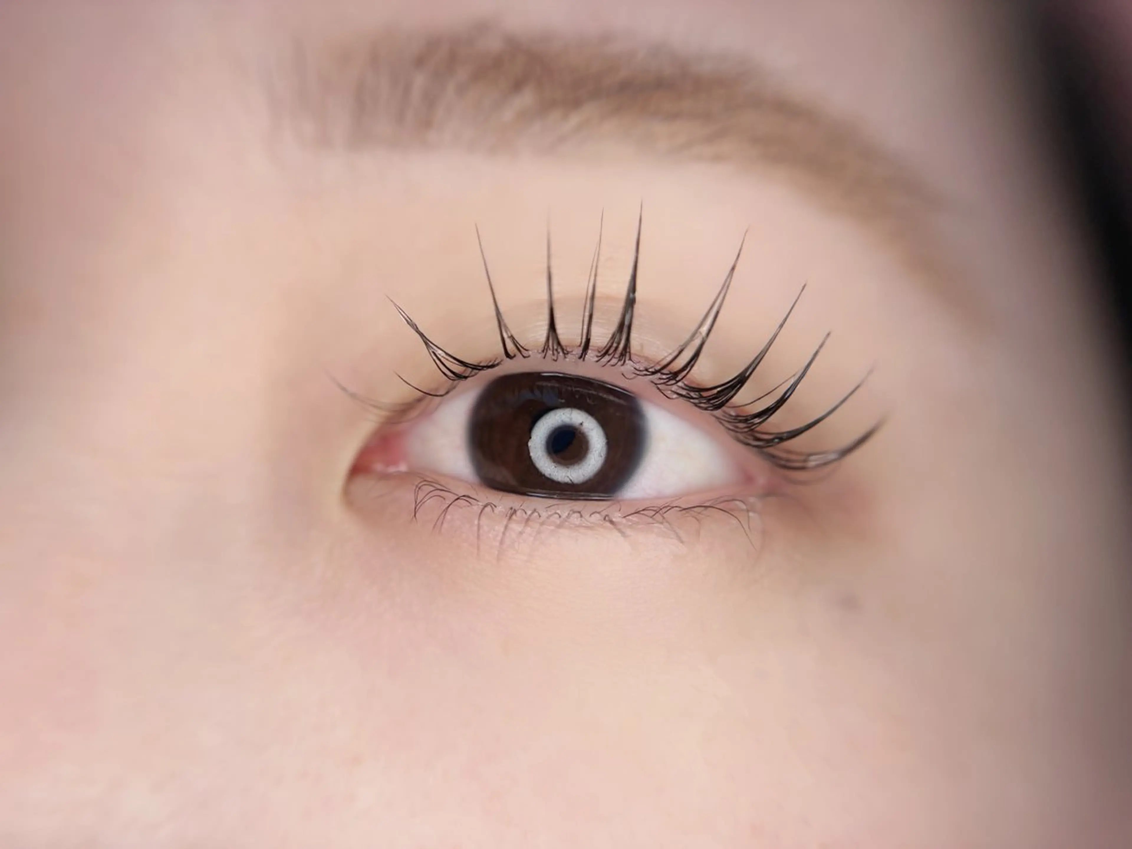 マツエク・マツパ パリジェンヌラッシュリフト マツパ 🤍南流山MaaZ staff1⃣🤍のマツエク・マツパデザイン