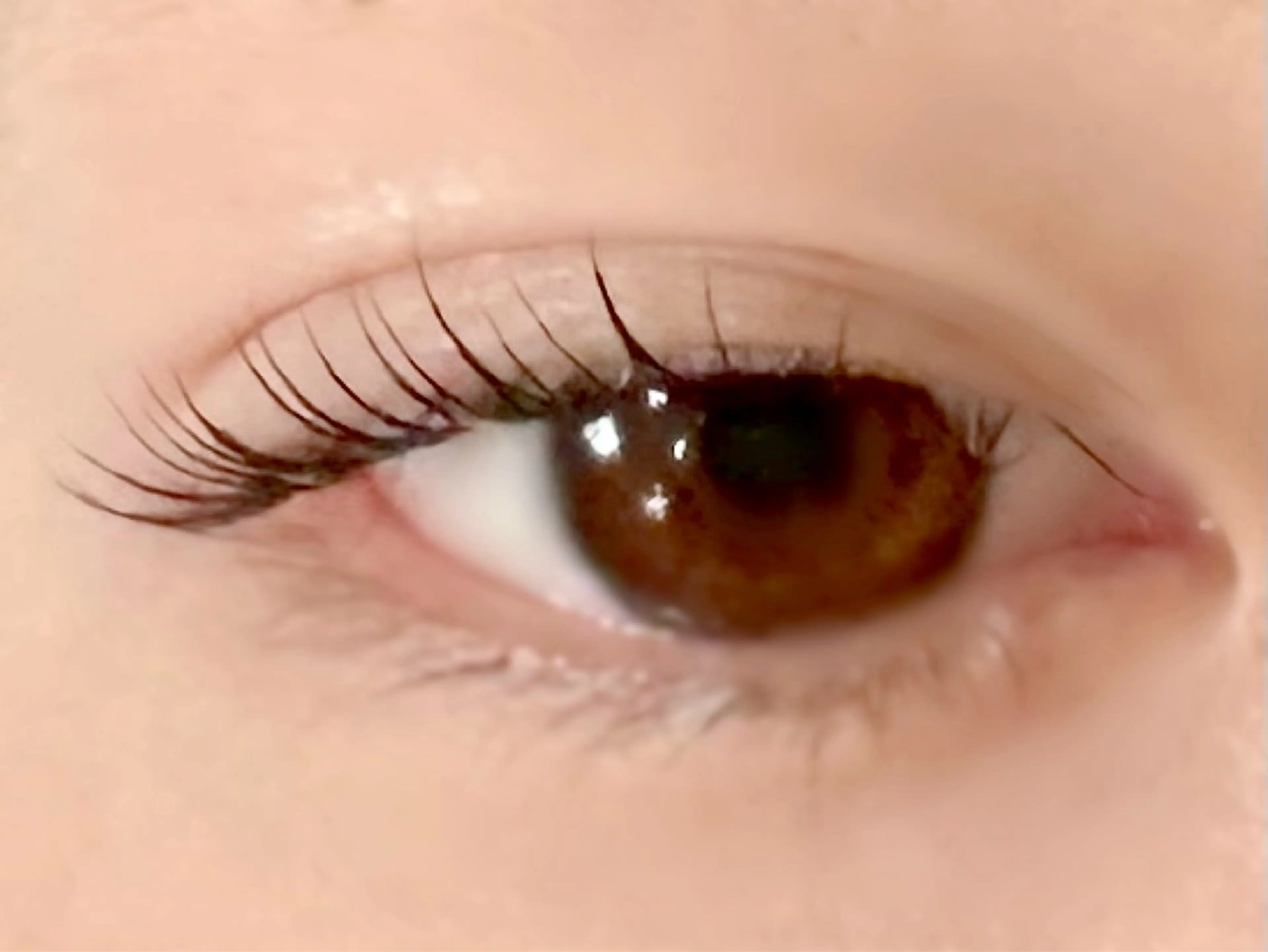 マツエク・マツパ マツパ 【felice】 Takahashiのマツエク・マツパデザイン