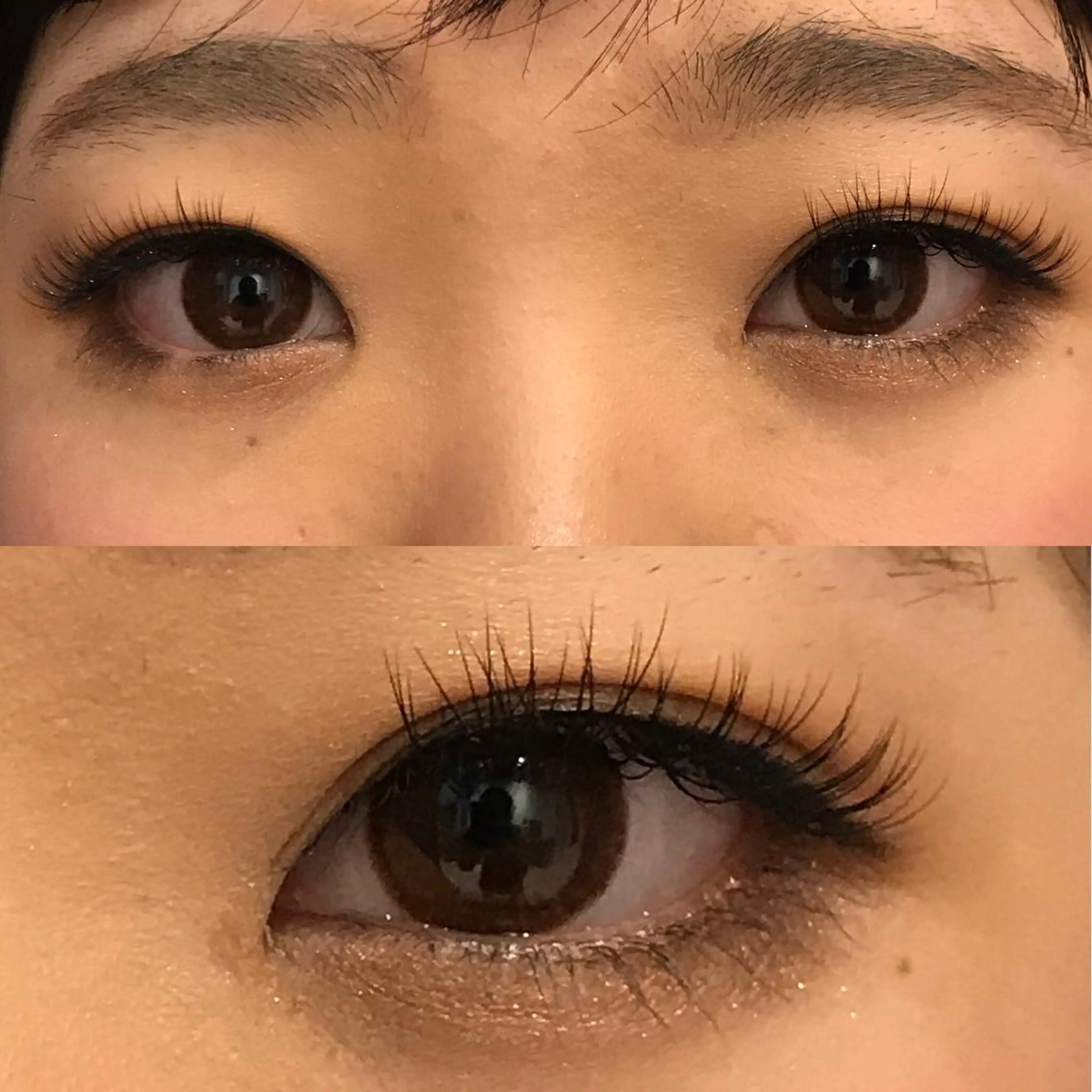 マツエク・マツパ セーブル eight eyelashの眉毛・アイブロウイメージ