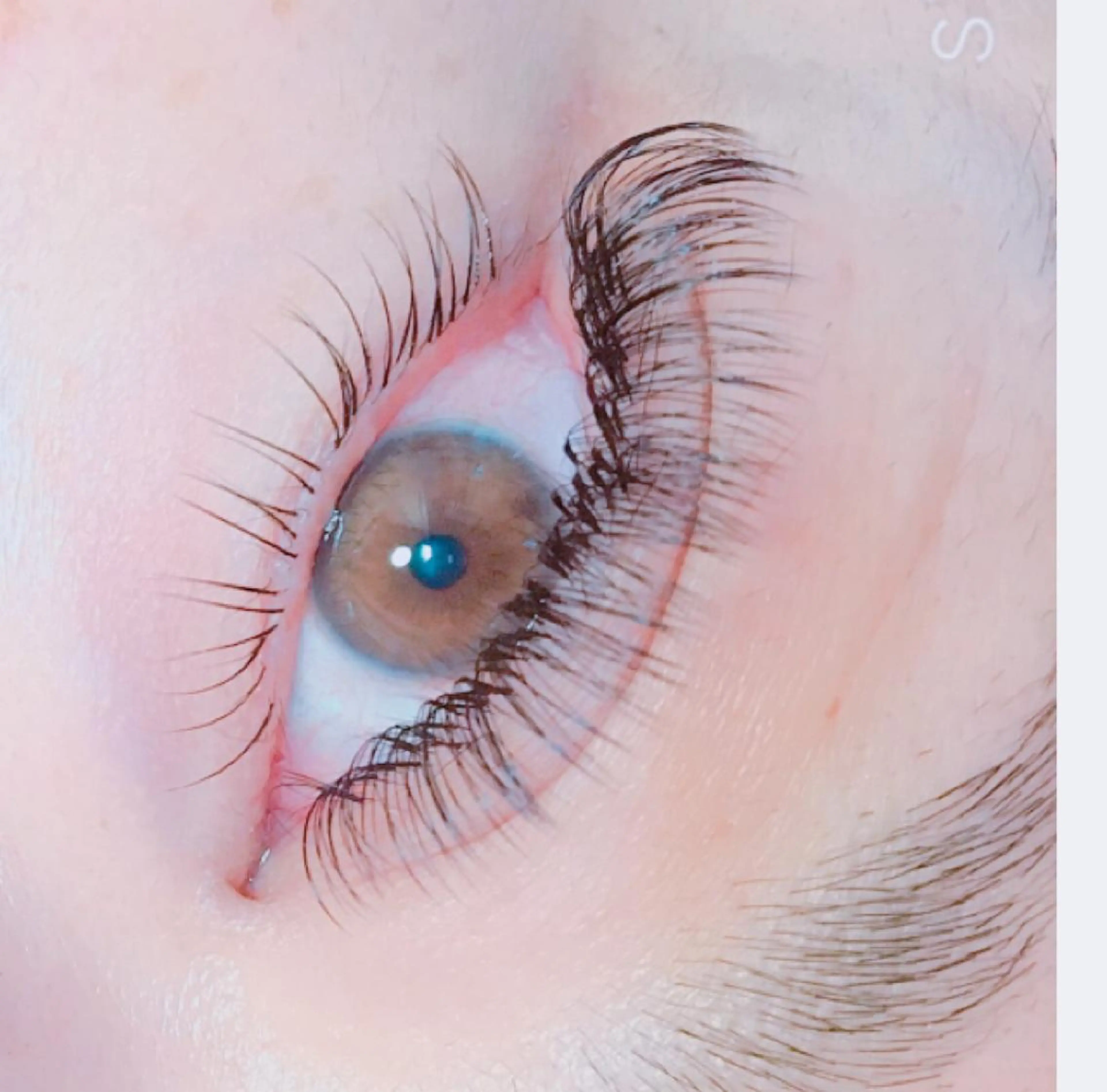 マツエク・マツパ Dカール ボリュームラッシュ Lotus.所属・Lotus. makoのエステ・リラクイメージ