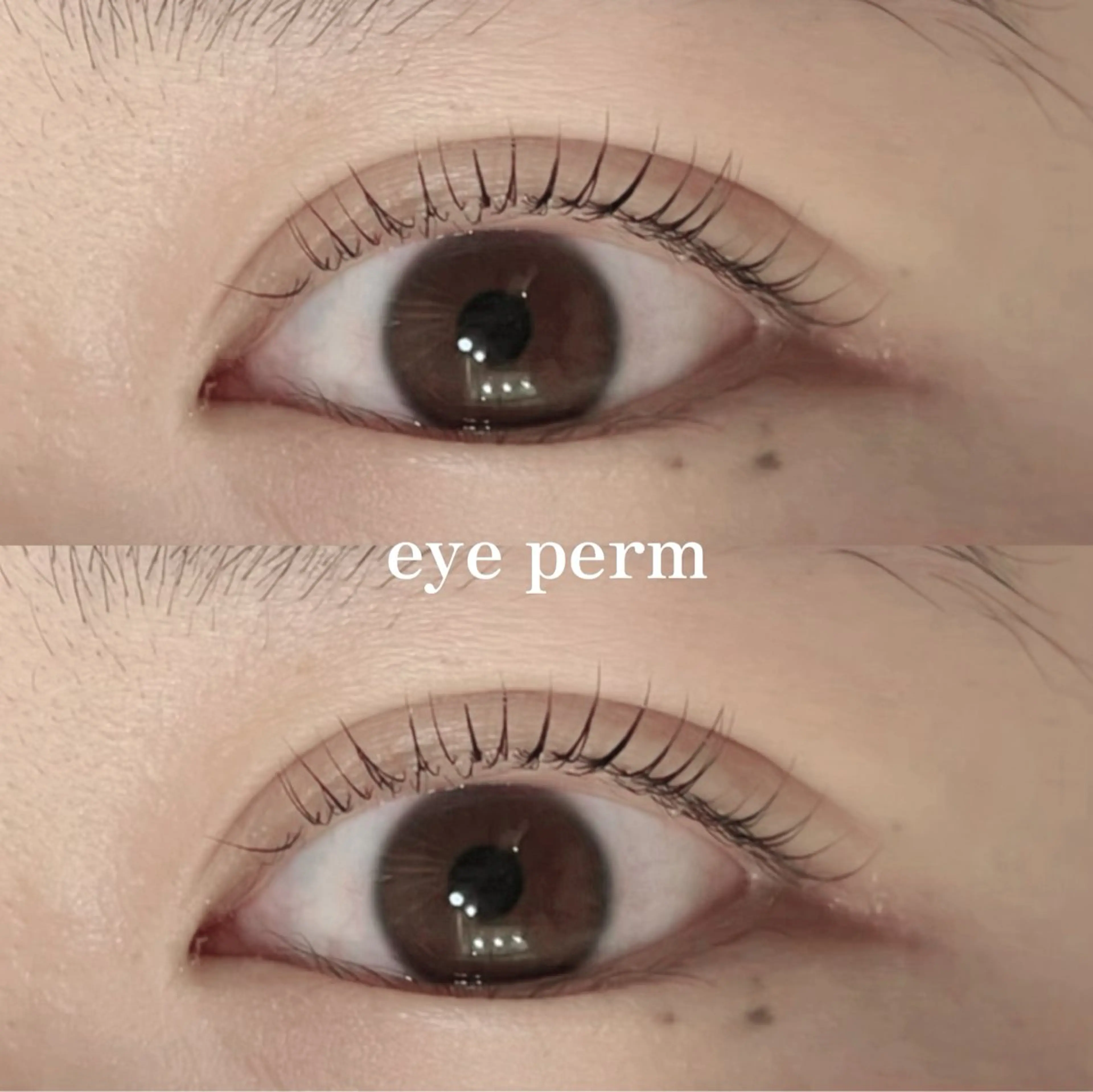 マツエク・マツパ Mon mignon ෆ‪momokaのマツエク・マツパデザイン