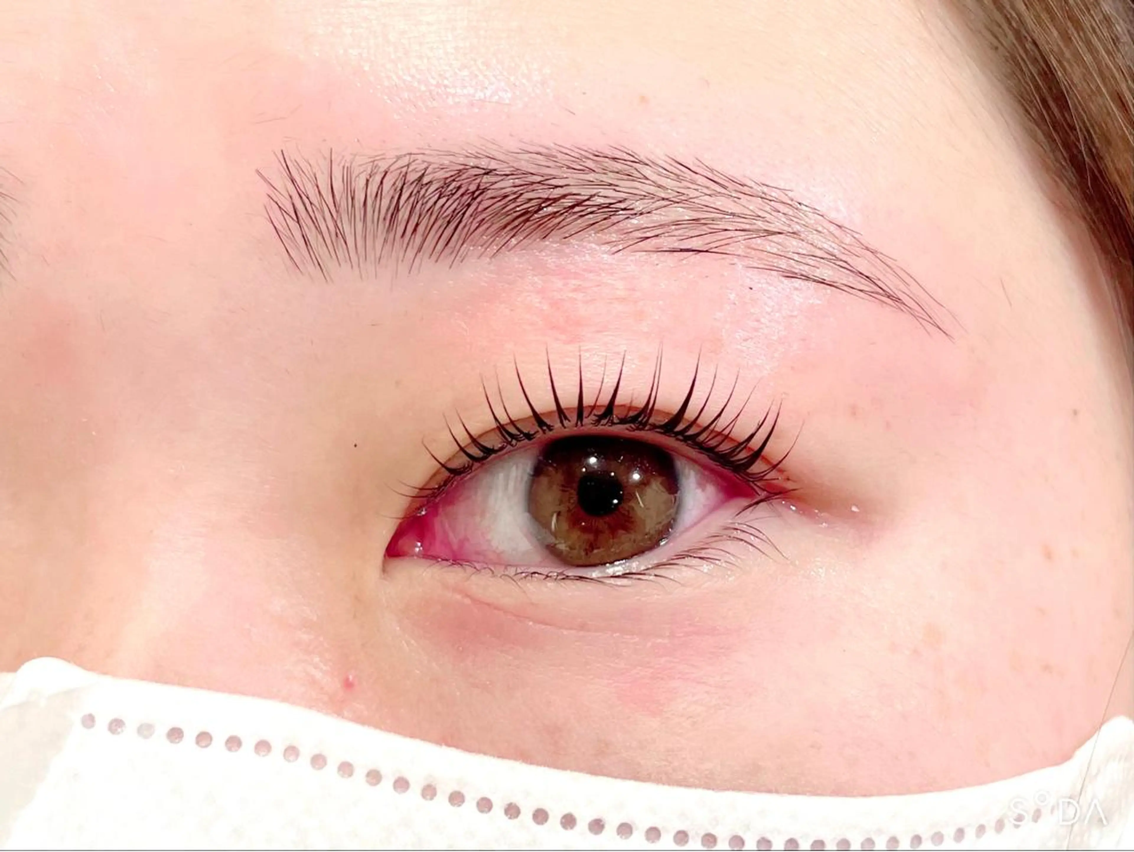 🦋パリジェンヌラッシュリフト上下×アイブロウwax🦋の写真