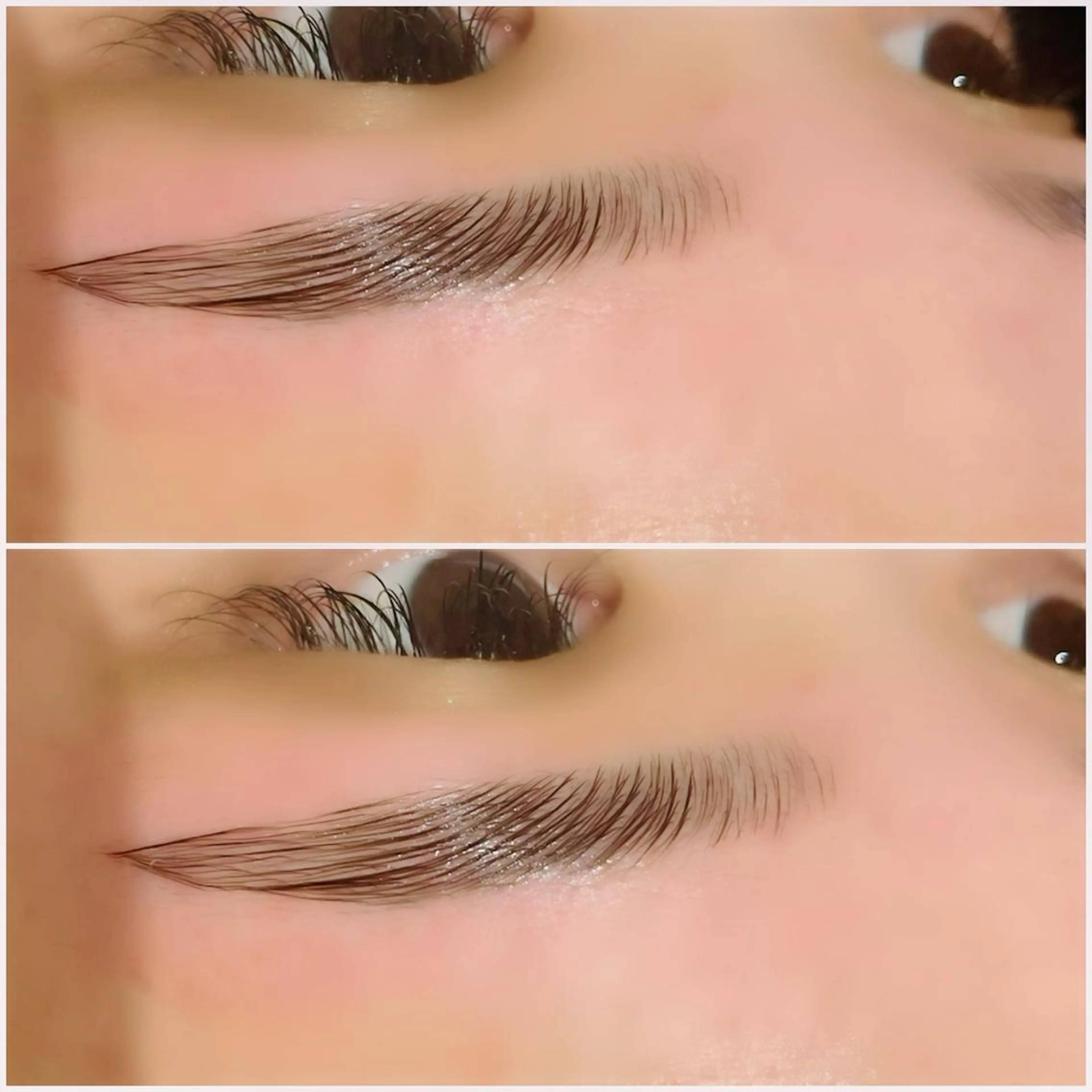 【ご新規様】ハリウッドブロウリフト🌈8,000円＝6,600円の写真