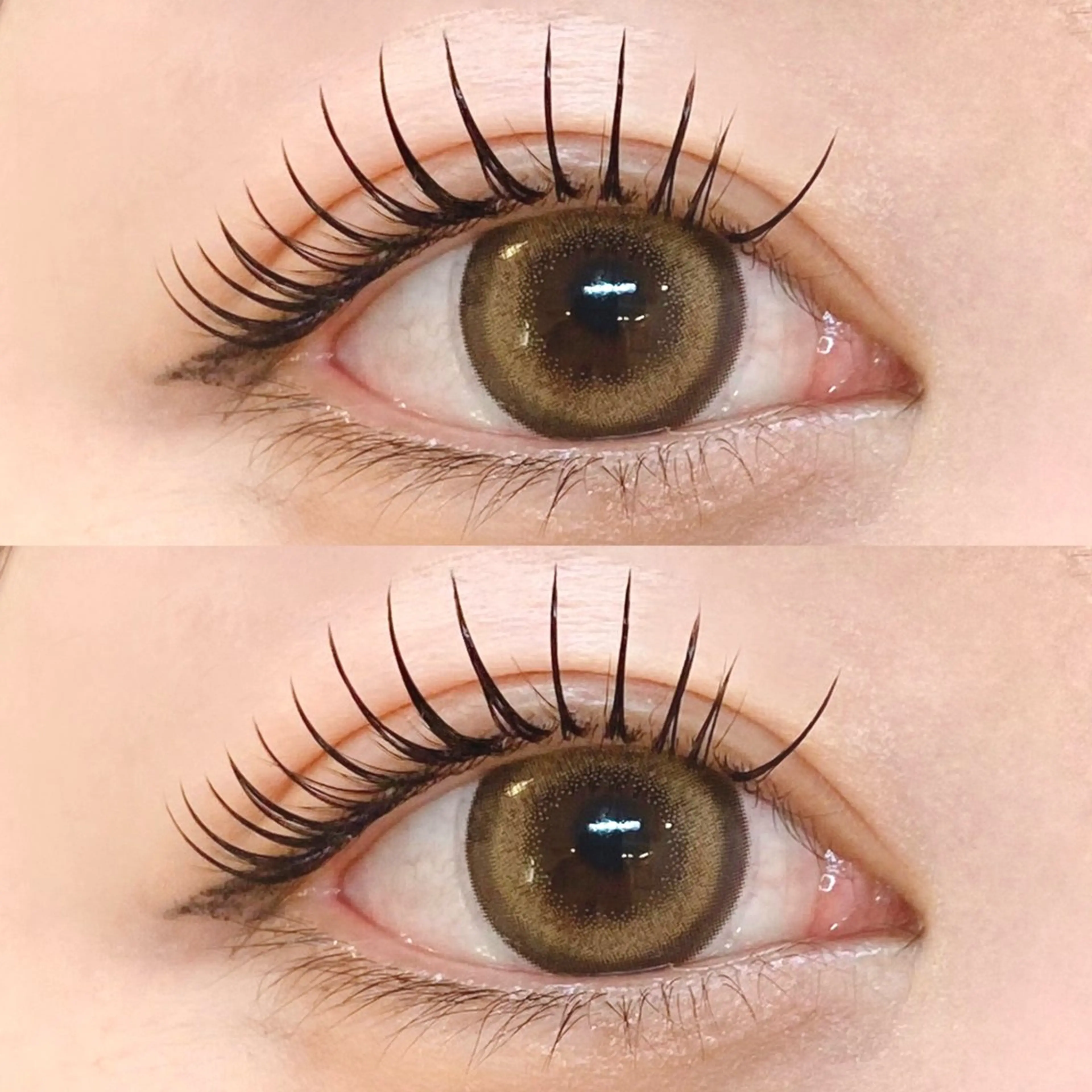 🦋【&Healthyアンドヘルシー】🦋ダブルラッシュ/バインドロック100束+まつ毛カール　横浜関内の写真