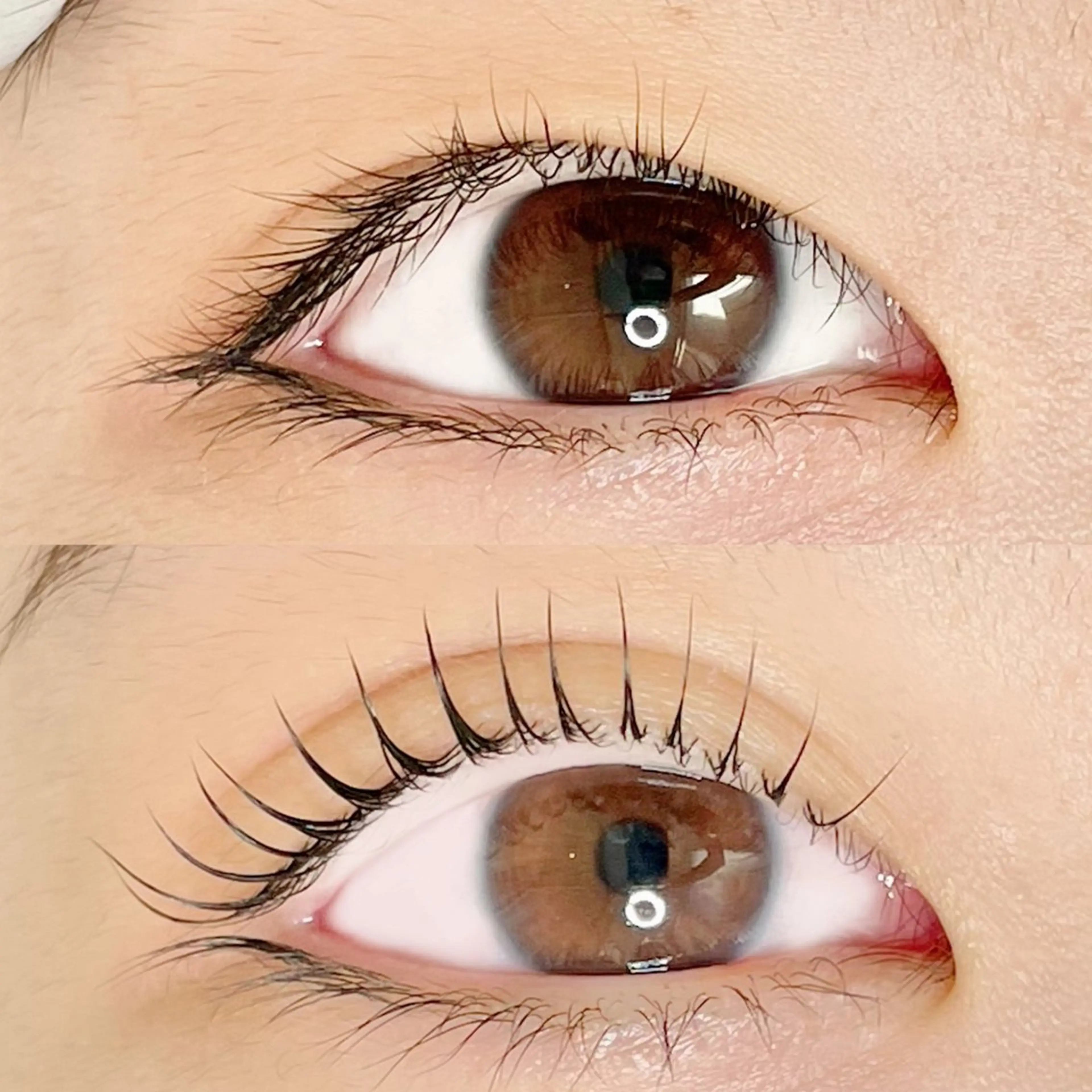 マツエク・マツパ マツパ AYLASH🧡 猪又のマツエク・マツパデザイン