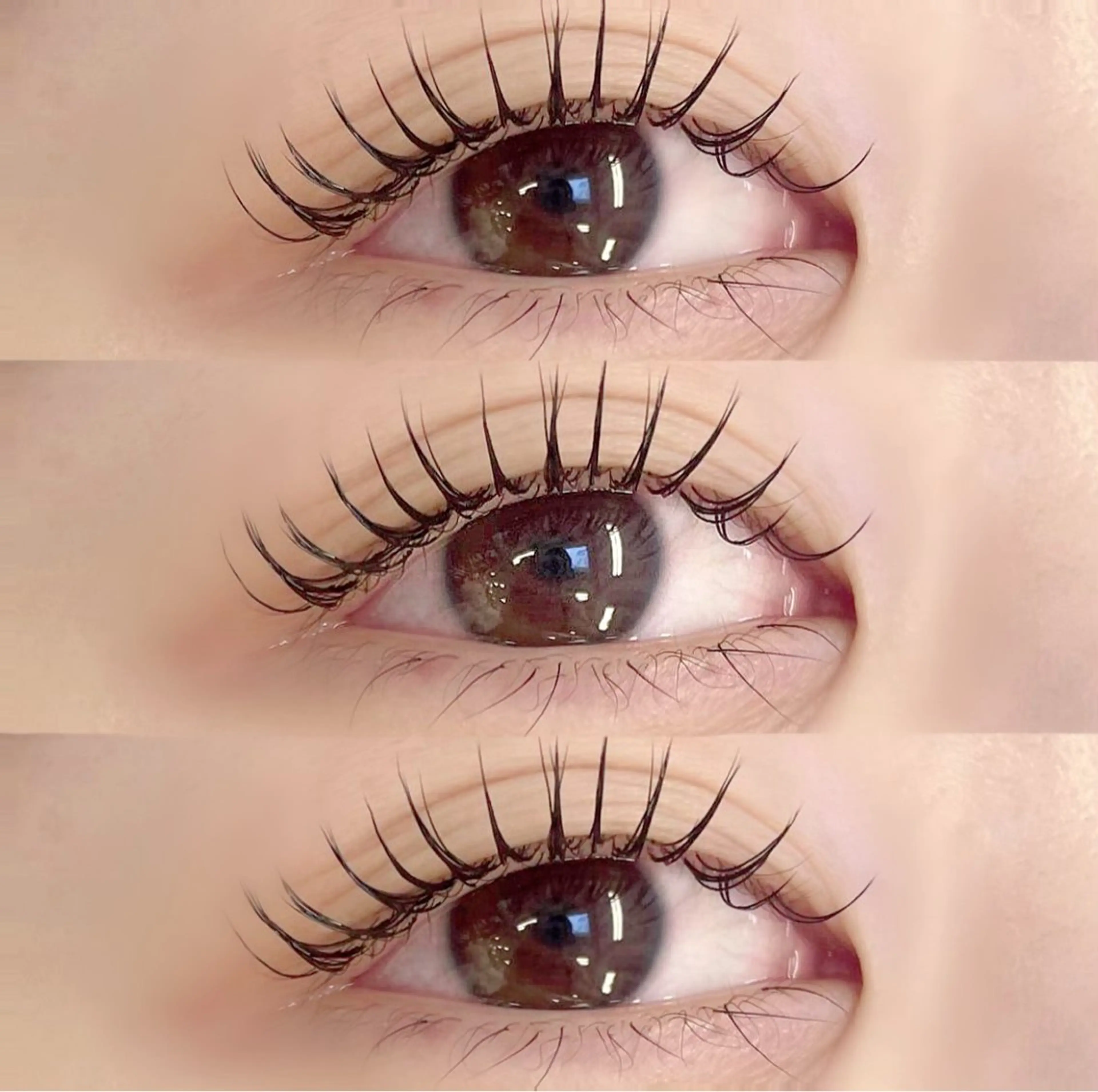 フラットラッシュ100本+美眉waxの写真