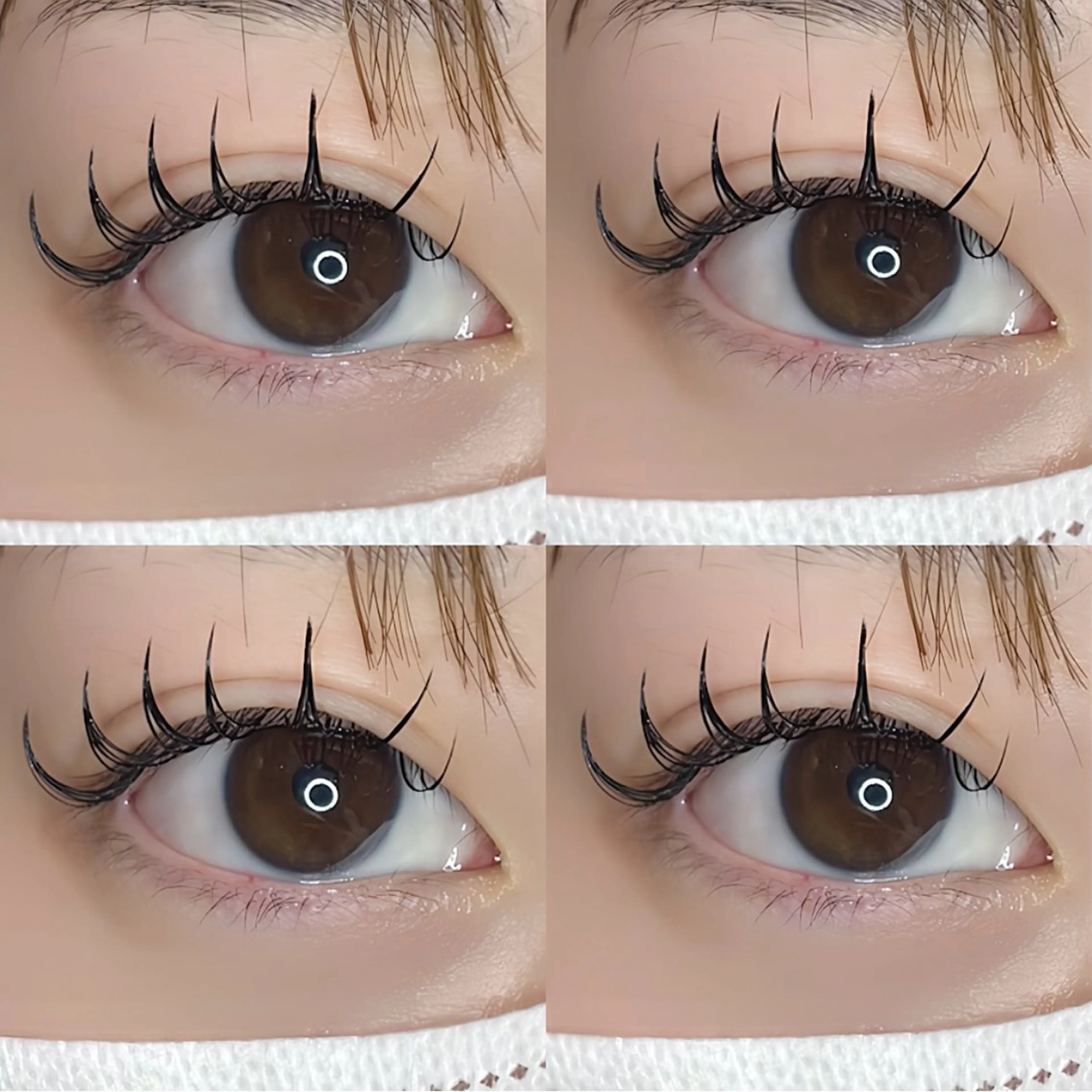 マツエク・マツパ マツエク kotoha🎀マツ エク指名No.1🤍のマツエク・マツパデザイン