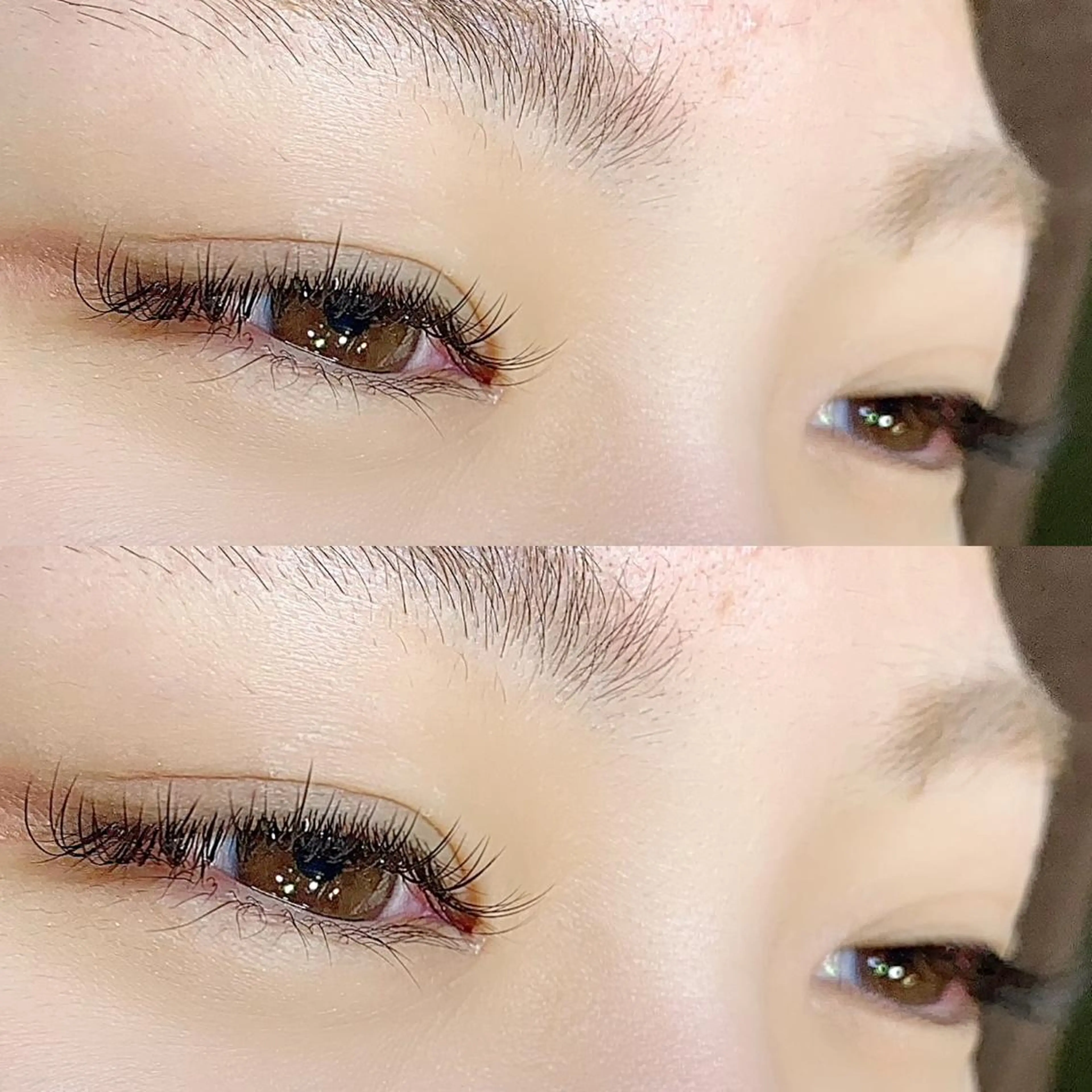 フラットラッシュ120本の写真