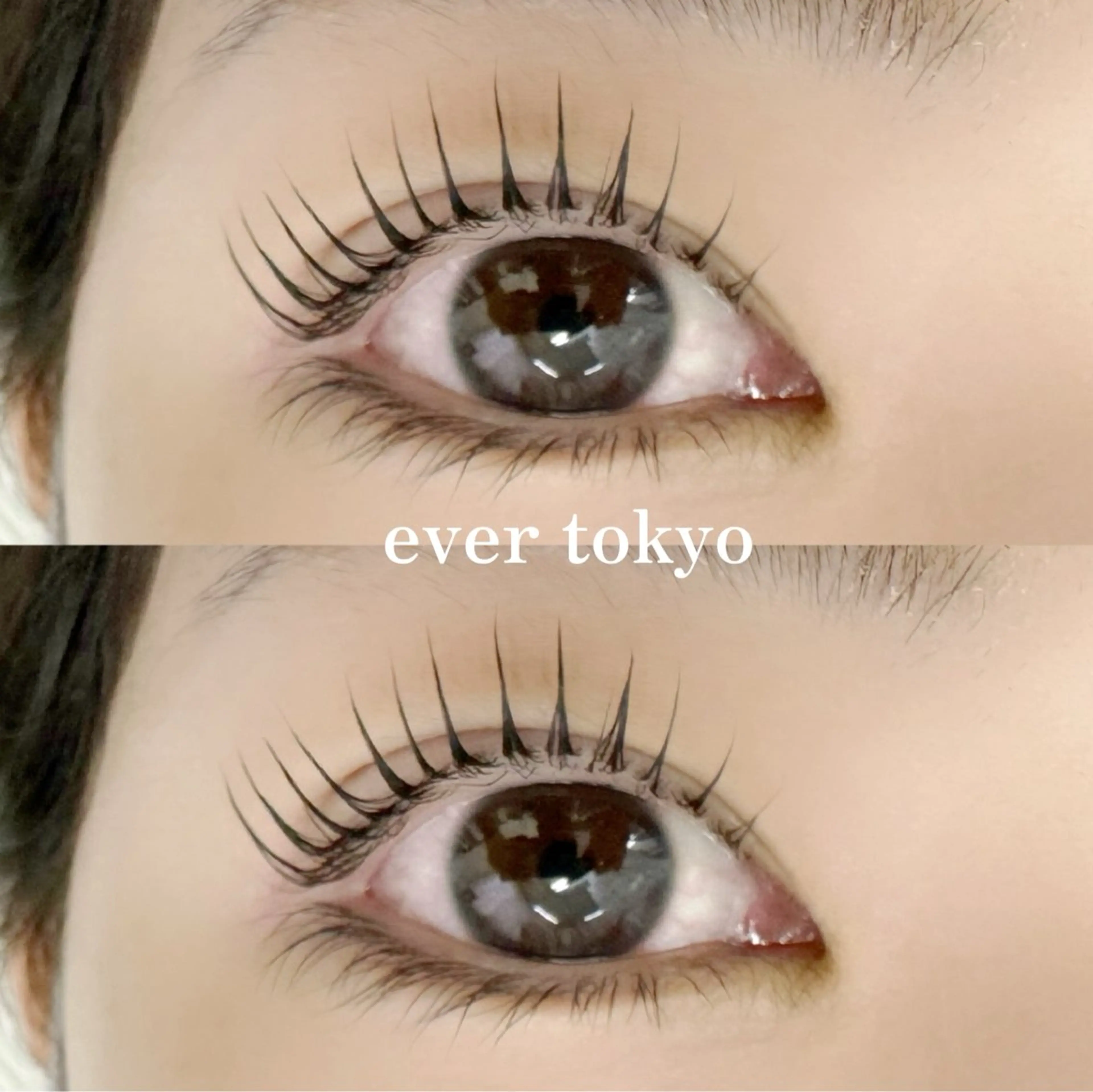 マツエク・マツパ パリジェンヌラッシュリフト alicetokyo 天神店のマツエク・マツパデザイン