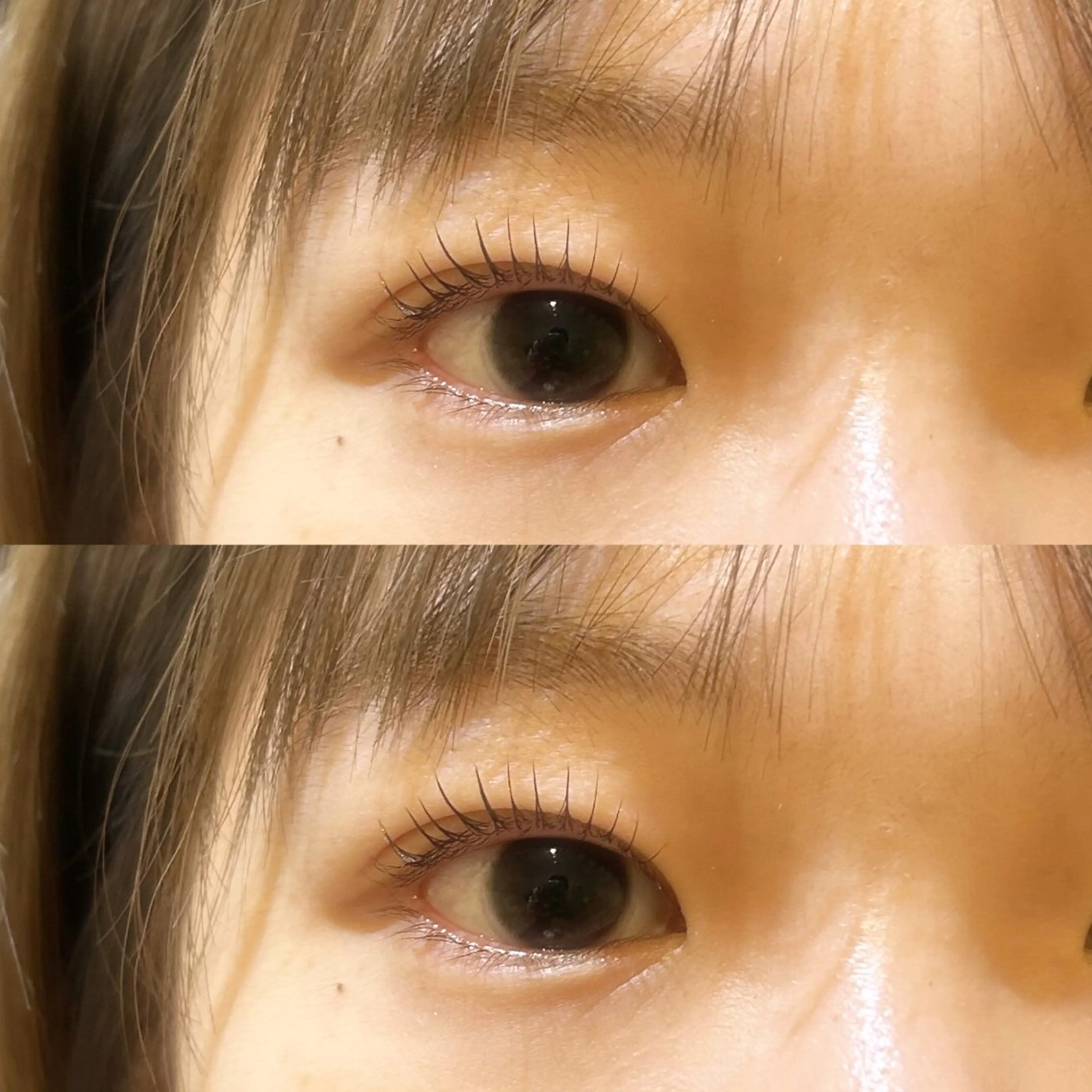 韓国風束間まつげパーマ無料モデル🫧の写真